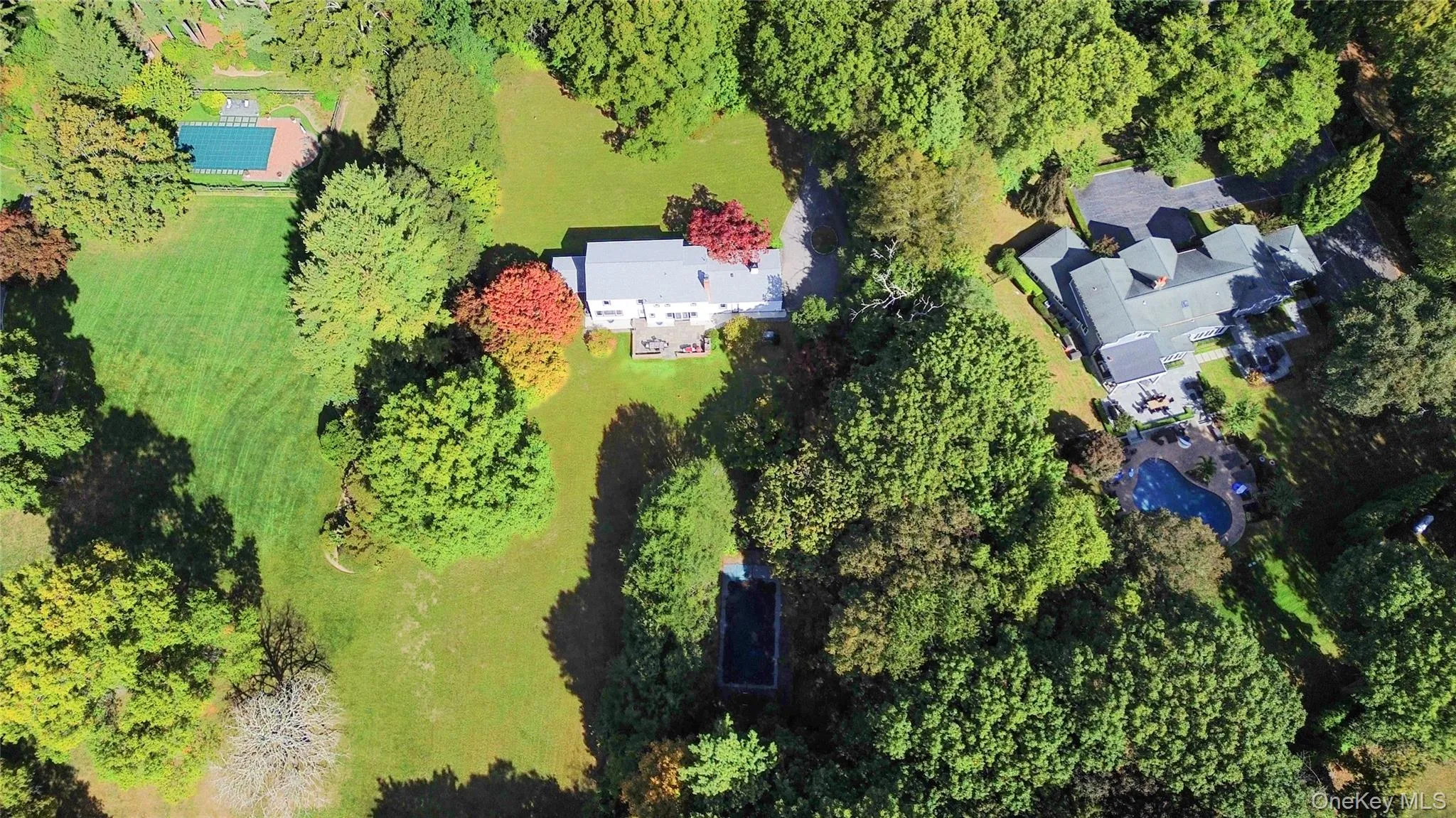 Lush landscaping Lush landscaping