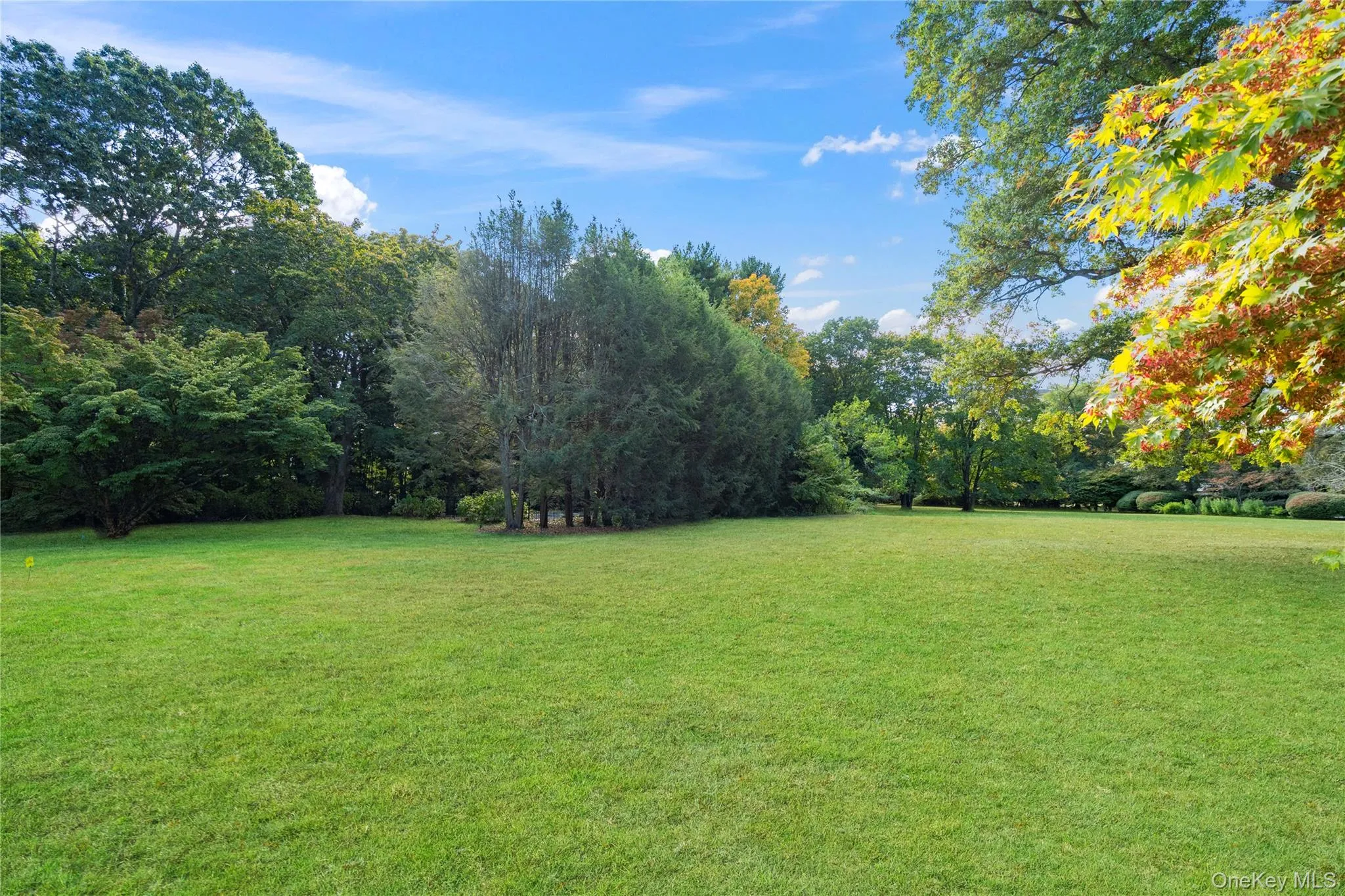 Emerald Lawn Emerald Lawn
