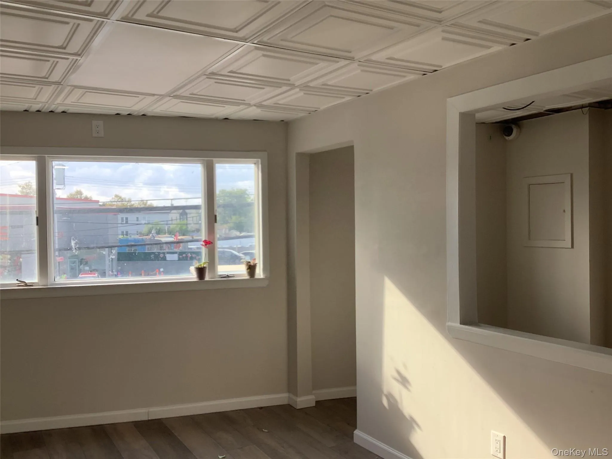 Spare room featuring an ornate ceiling and dark wood finished floors Spare room featuring an ornate ceiling and dark wood finished floors