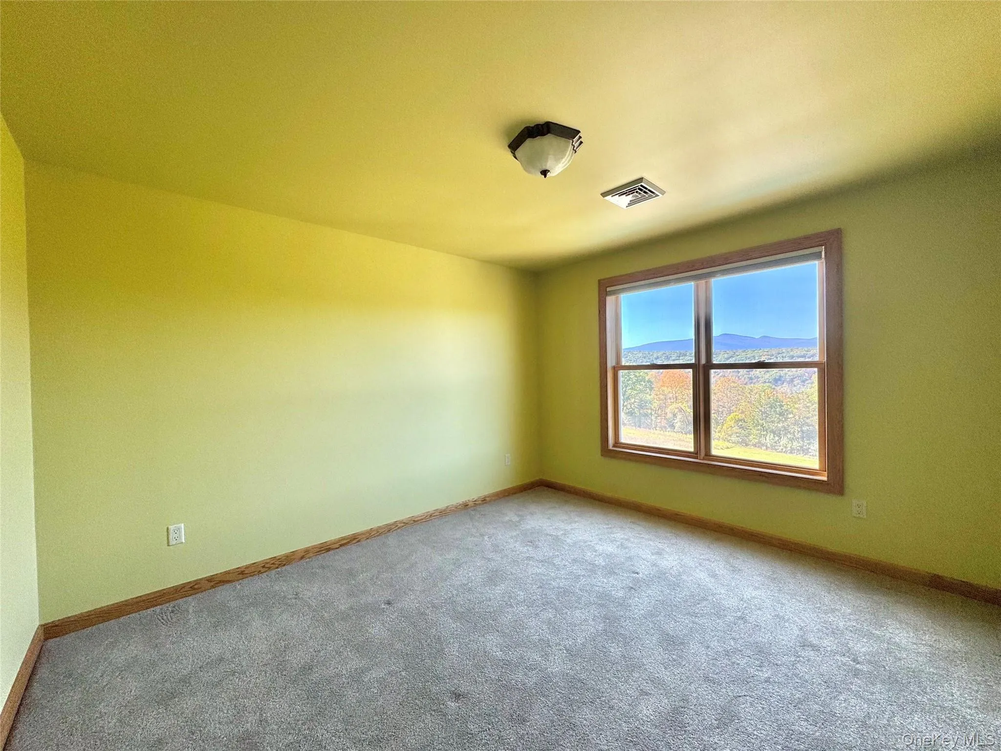 Empty room featuring carpet floors and a mountain view Empty room featuring carpet floors and a mountain view