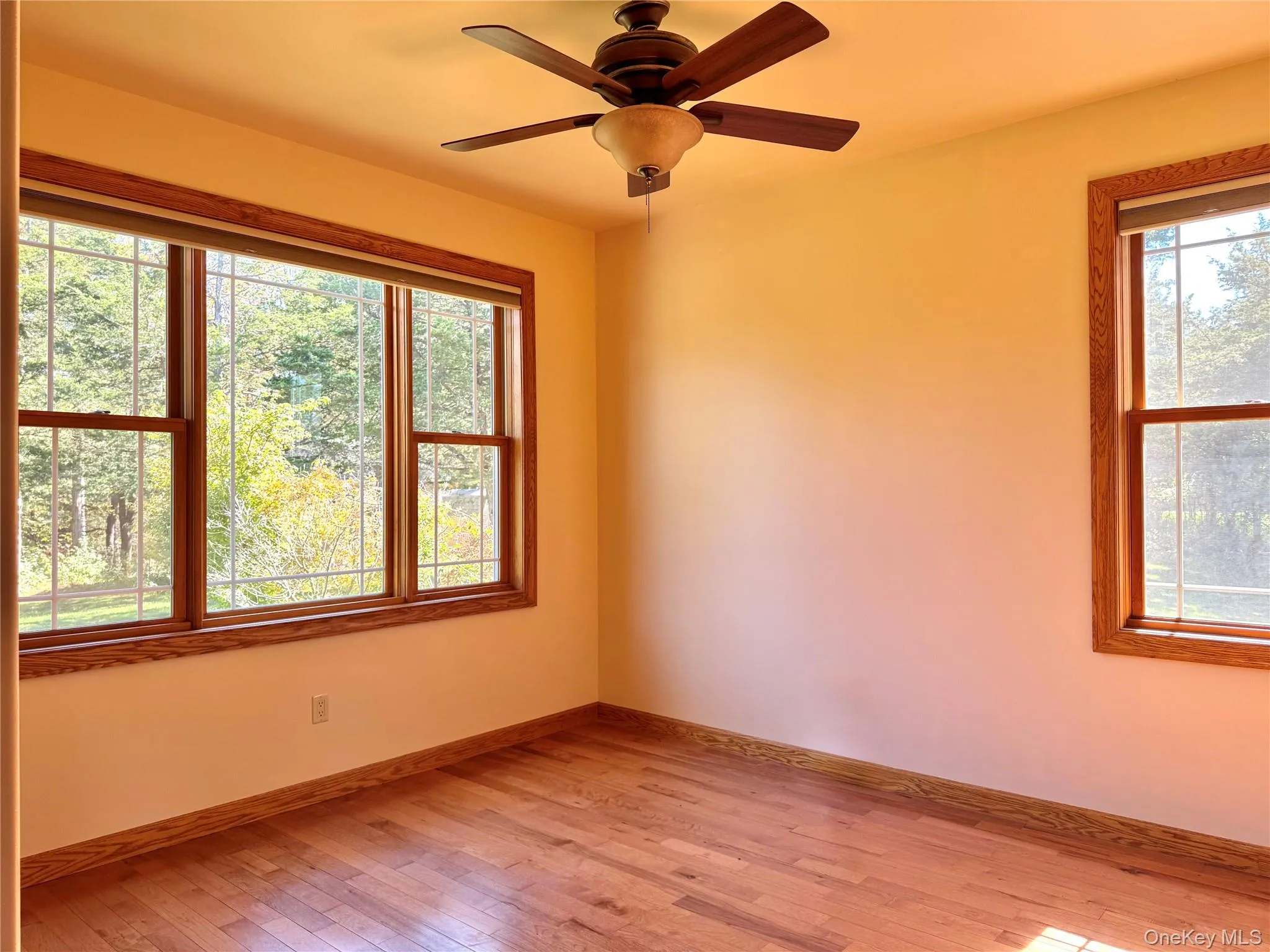 Unfurnished room featuring light wood-type flooring and a ceiling fan Unfurnished room featuring light wood-type flooring and a ceiling fan