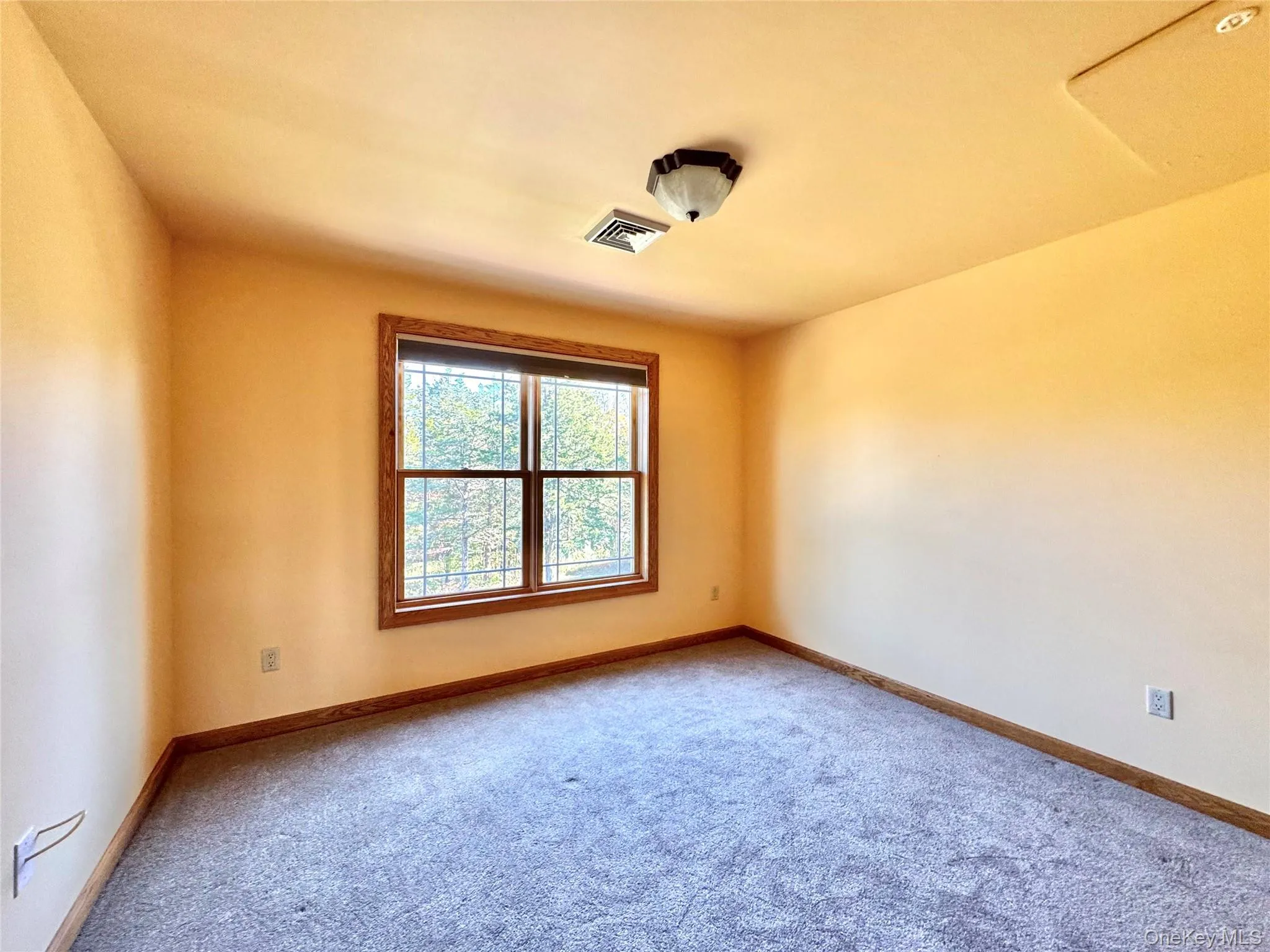 Carpeted spare room featuring baseboards Carpeted spare room featuring baseboards