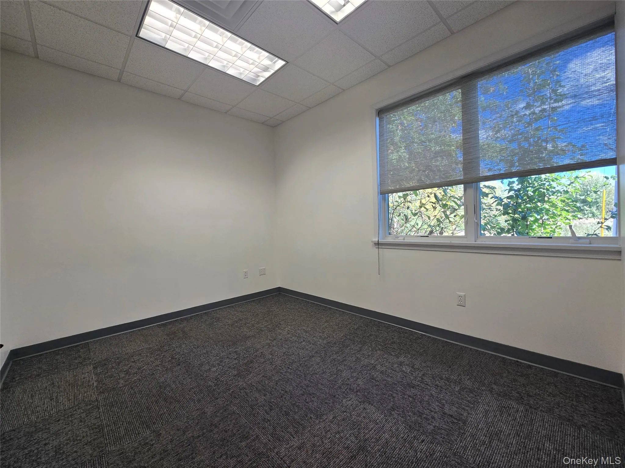 Empty room with a paneled ceiling and carpet floors Empty room with a paneled ceiling and carpet floors