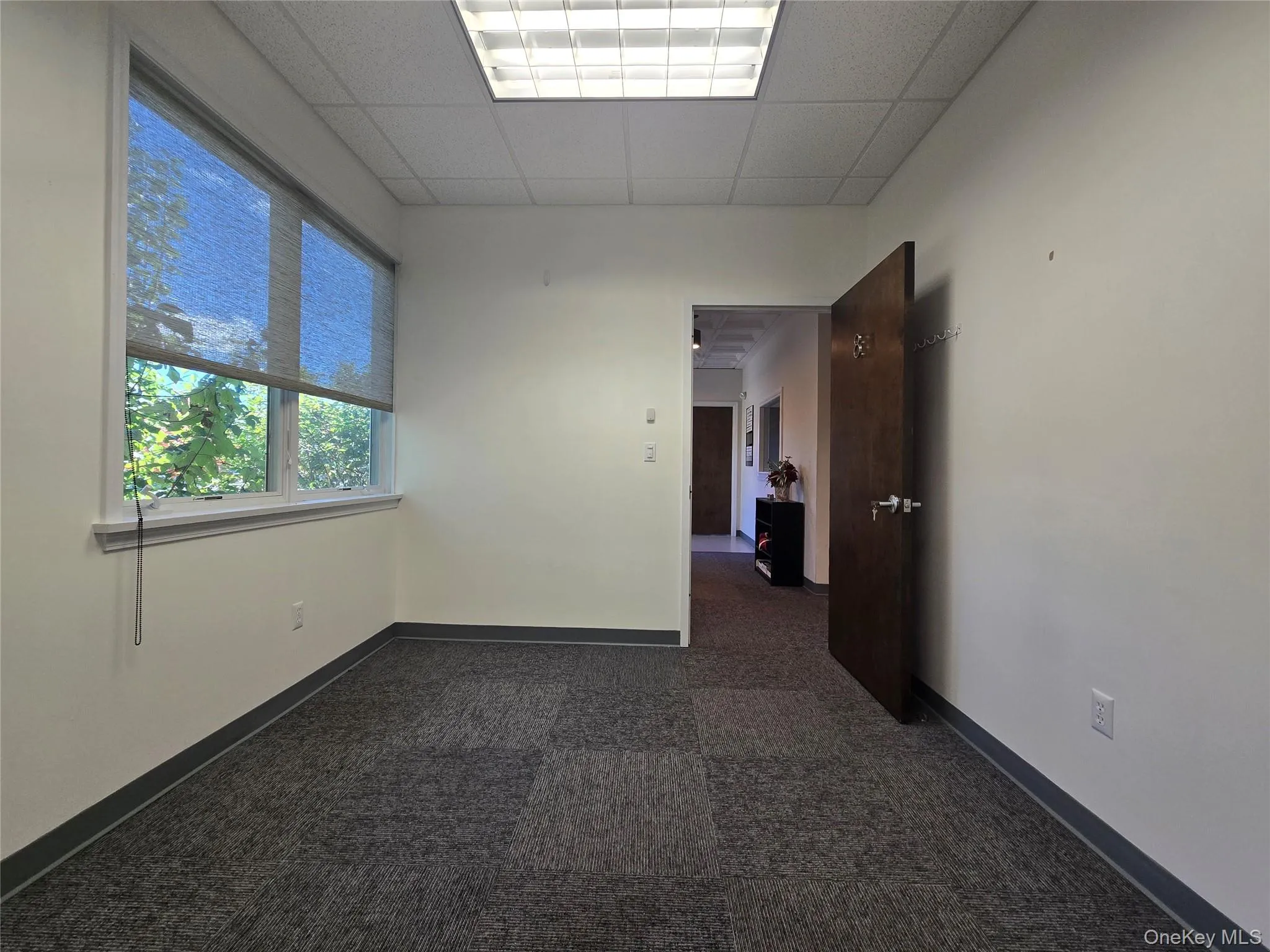 Empty room featuring a drop ceiling and dark carpet Empty room featuring a drop ceiling and dark carpet