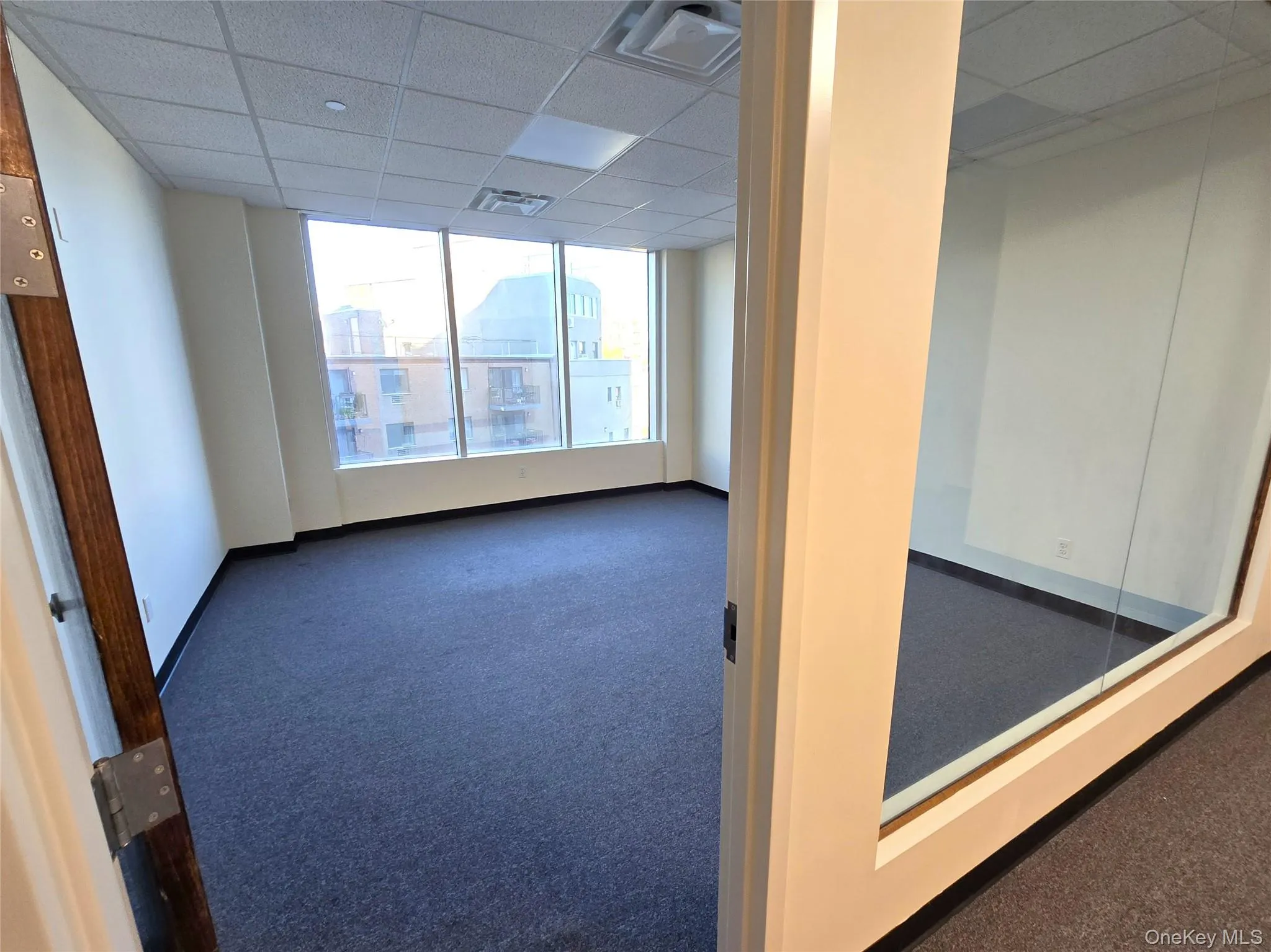 Unfurnished room with carpet flooring and a paneled ceiling Unfurnished room with carpet flooring and a paneled ceiling