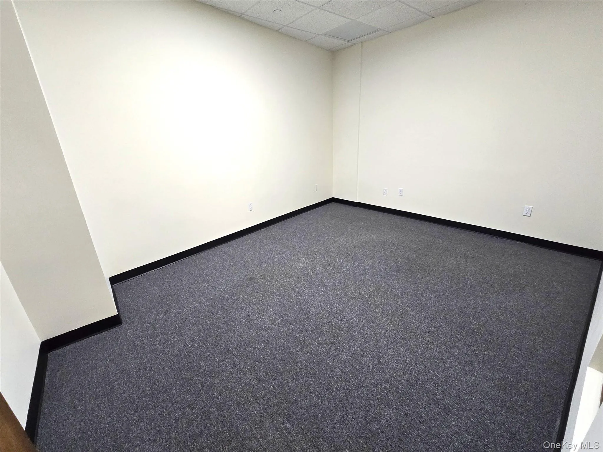 Spare room with a drop ceiling and baseboards Spare room with a drop ceiling and baseboards