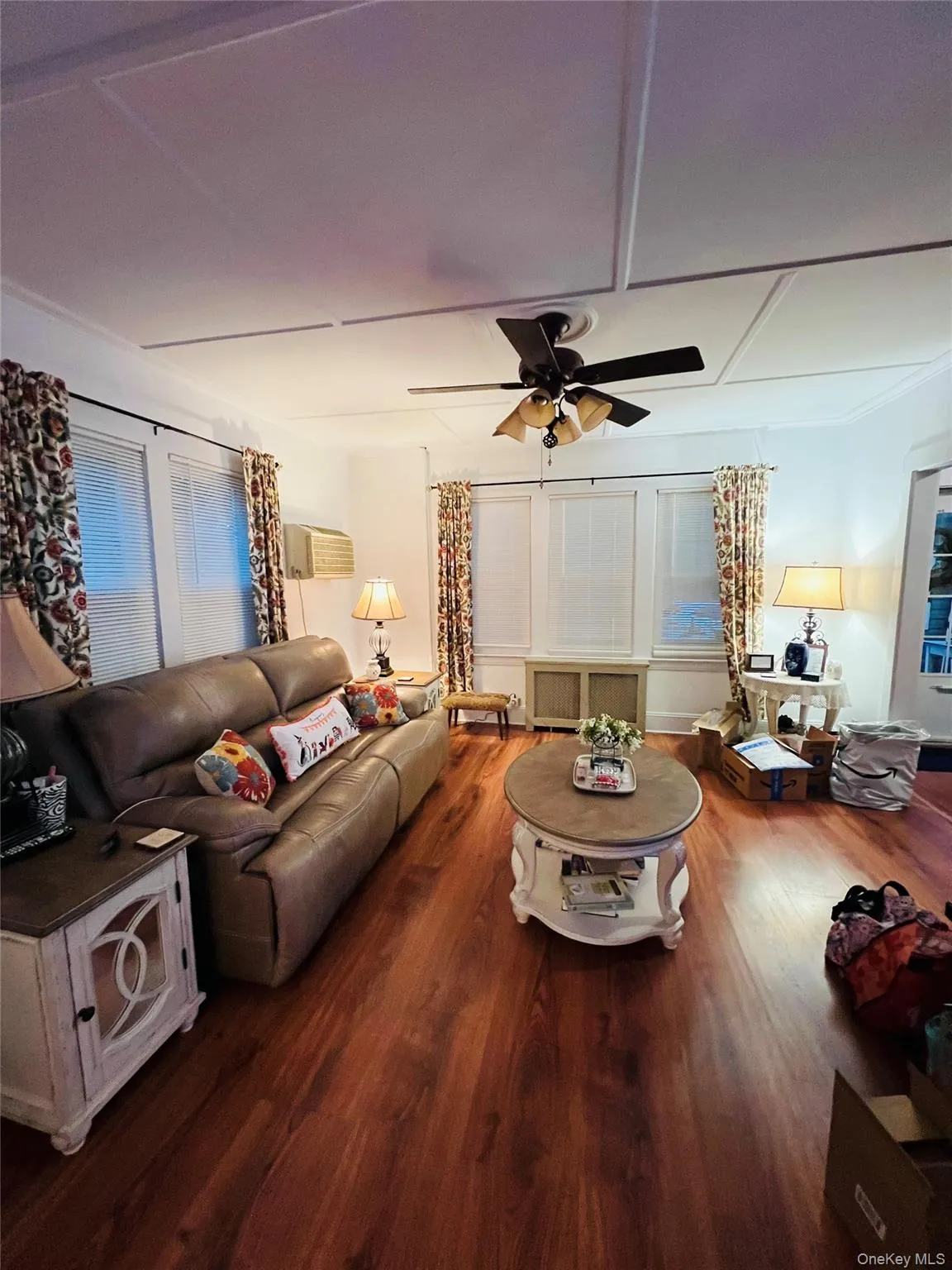 Living area featuring wood finished floors, radiator heating unit, ceiling fan, and a wall mounted air conditioner Living area featuring wood finished floors, radiator heating unit, ceiling fan, and a wall mounted air conditioner
