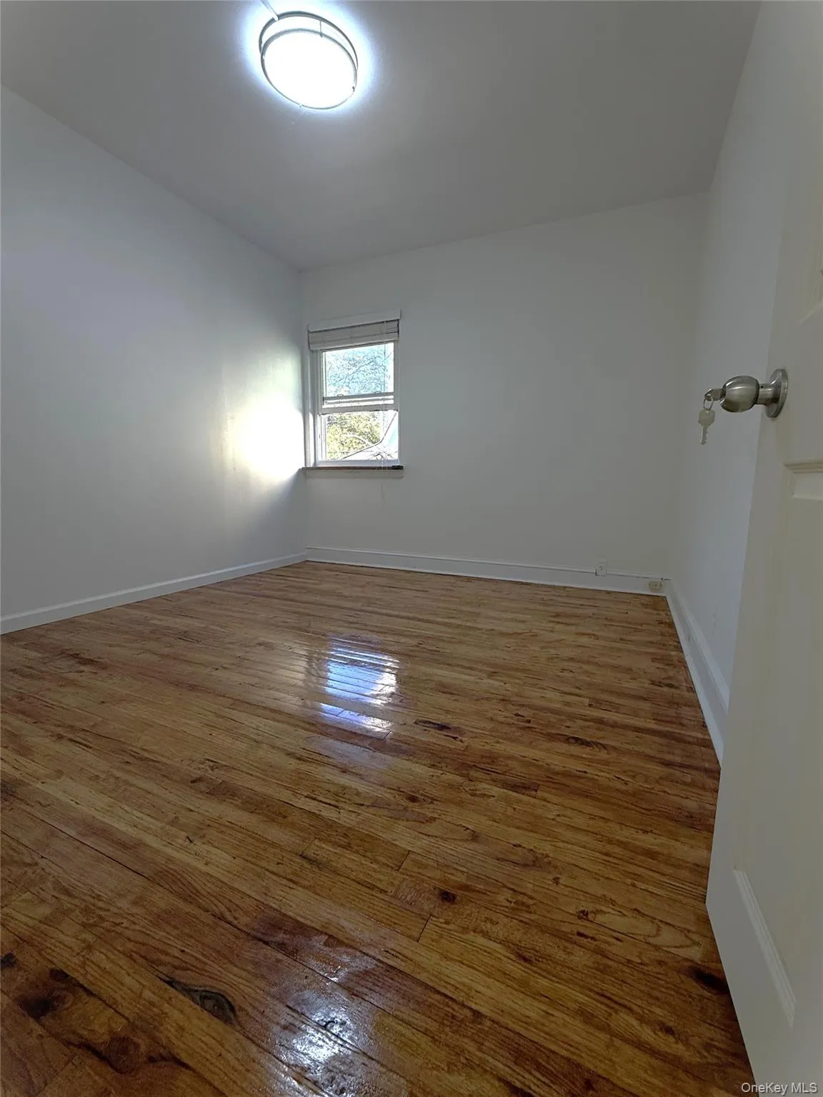 Unfurnished room featuring light wood-type flooring and baseboards Unfurnished room featuring light wood-type flooring and baseboards