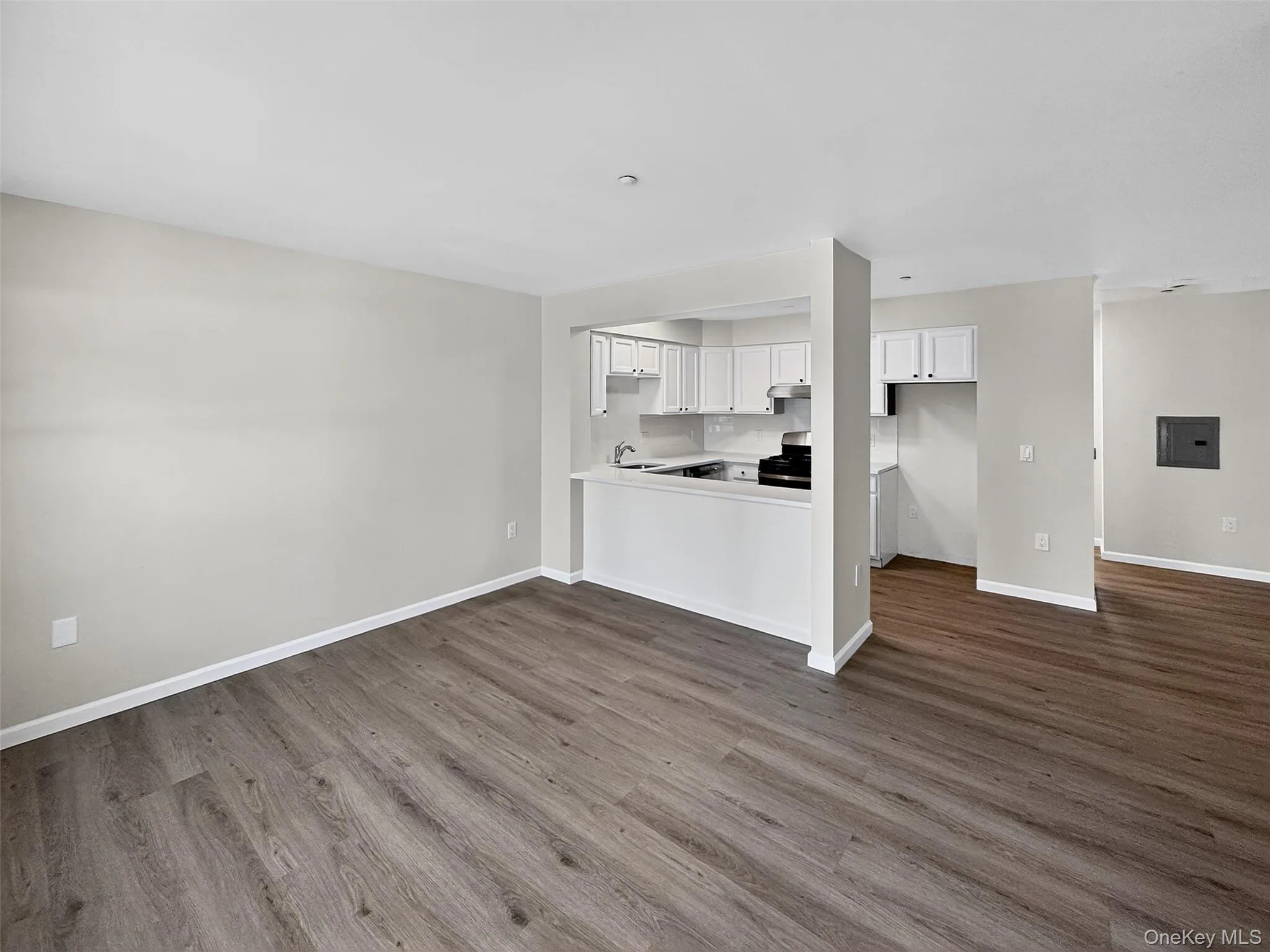 Unfurnished living room featuring dark wood-style flooring and electric panel Unfurnished living room featuring dark wood-style flooring and electric panel