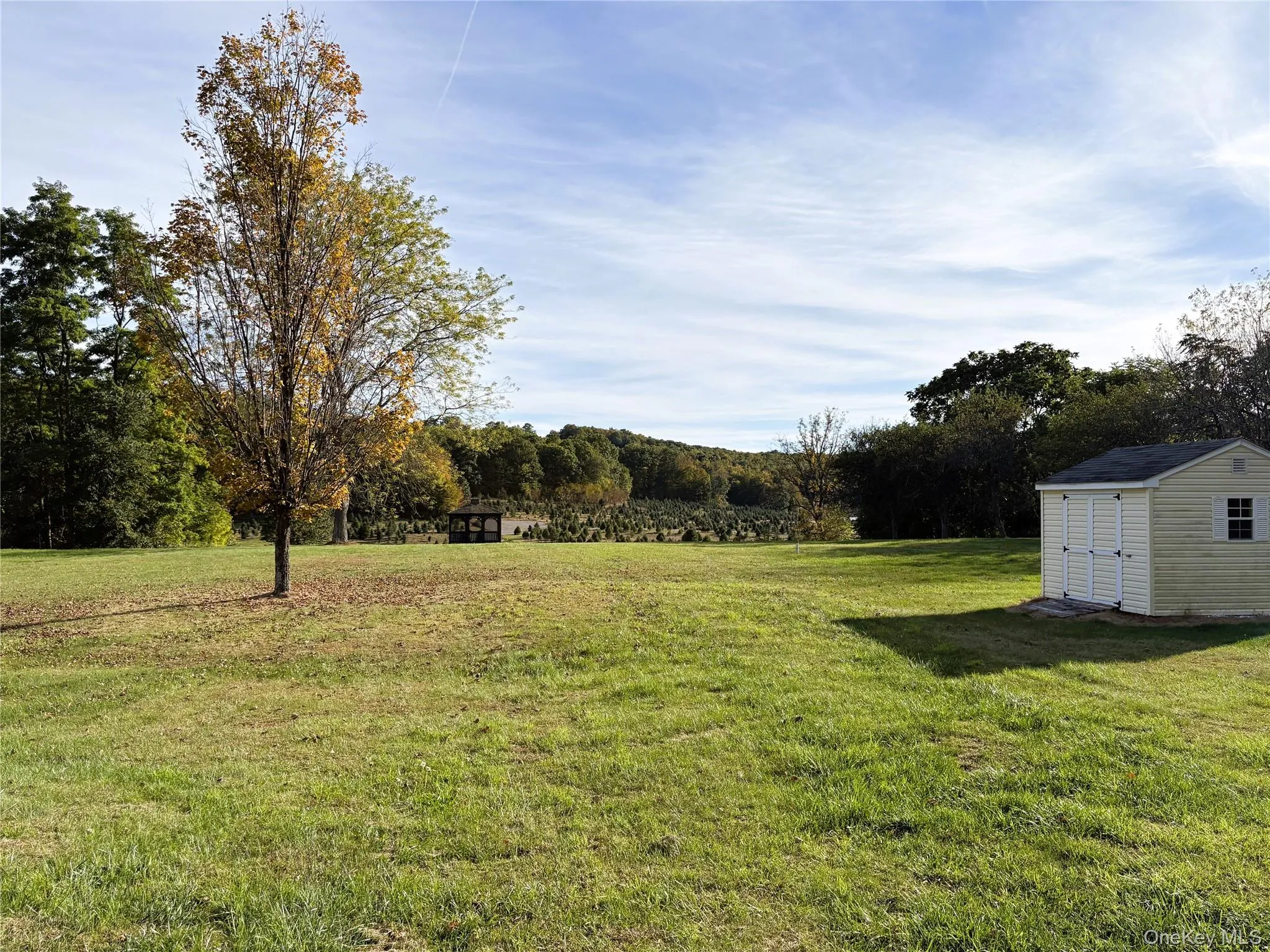 View of grassy yard with a shed View of grassy yard with a shed