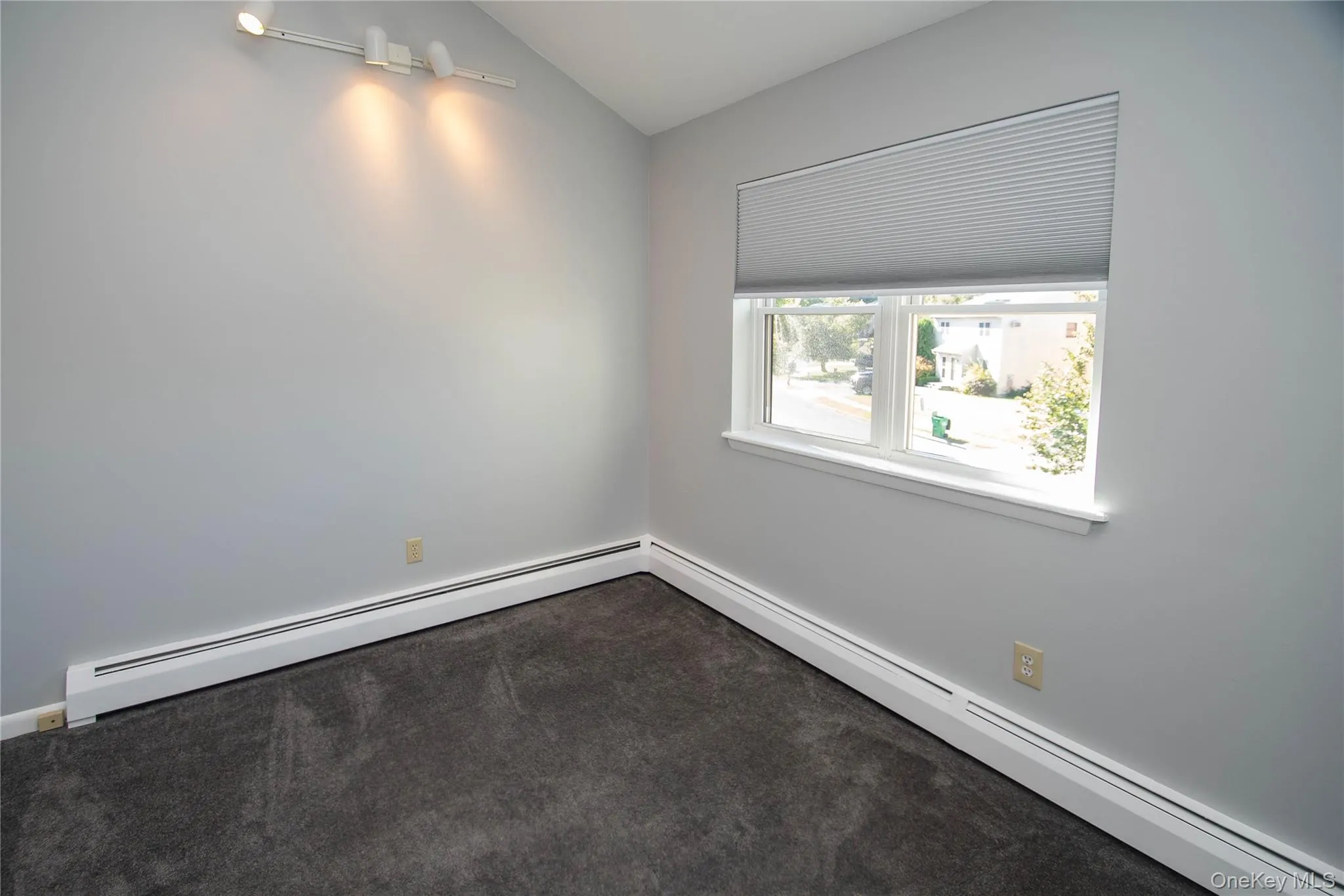 Carpeted spare room featuring a baseboard radiator and vaulted ceiling Carpeted spare room featuring a baseboard radiator and vaulted ceiling