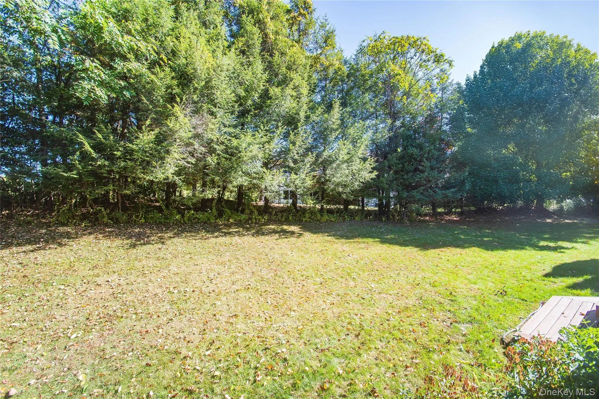 View of green lawn View of green lawn