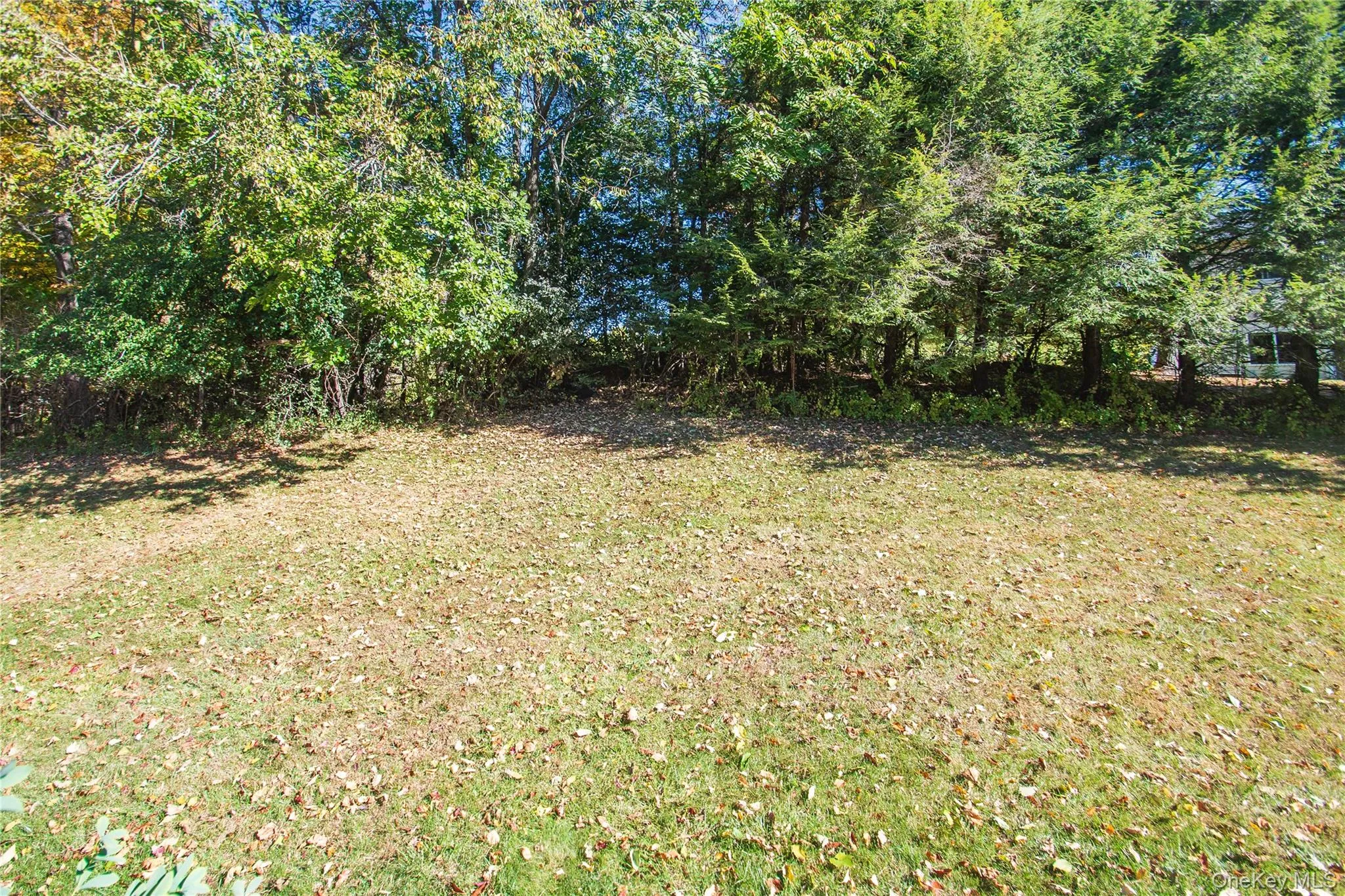 View of green lawn View of green lawn