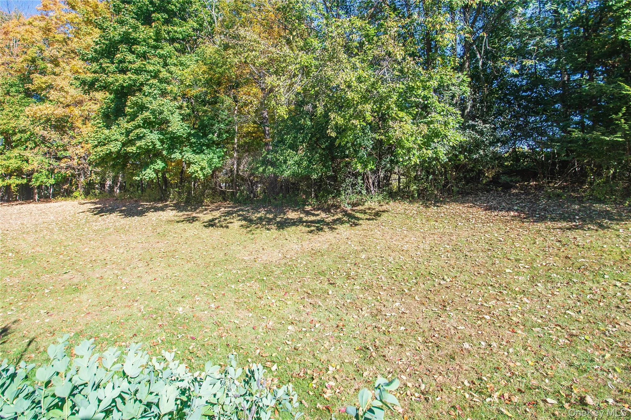 View of grassy yard View of grassy yard