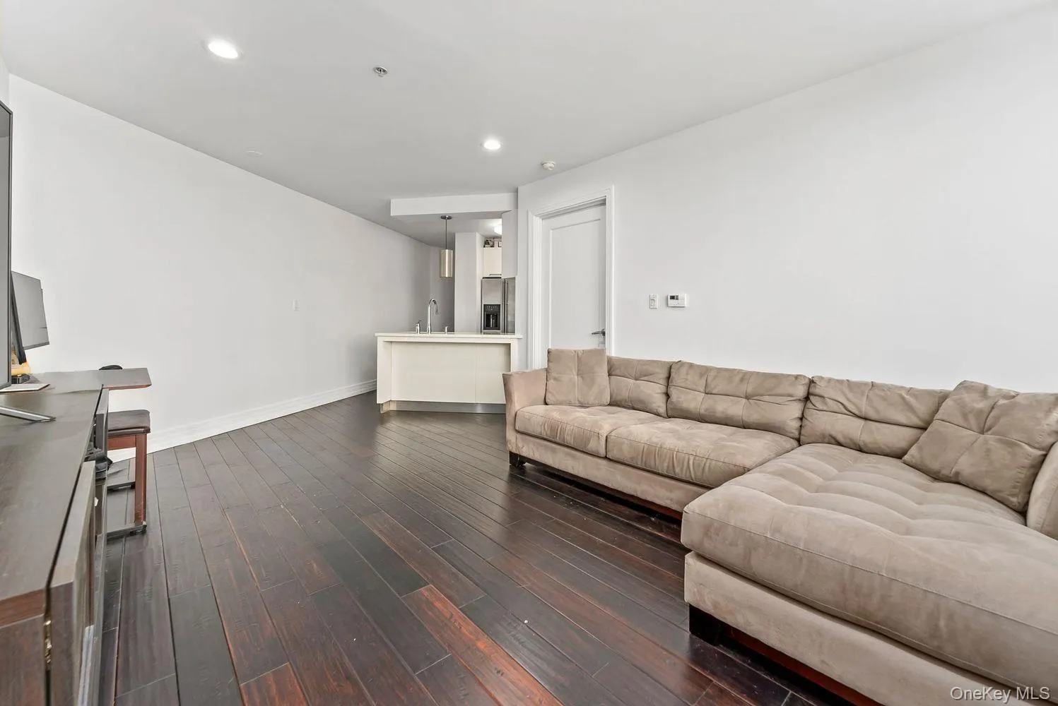Living area featuring dark wood finished floors and recessed lighting Living area featuring dark wood finished floors and recessed lighting