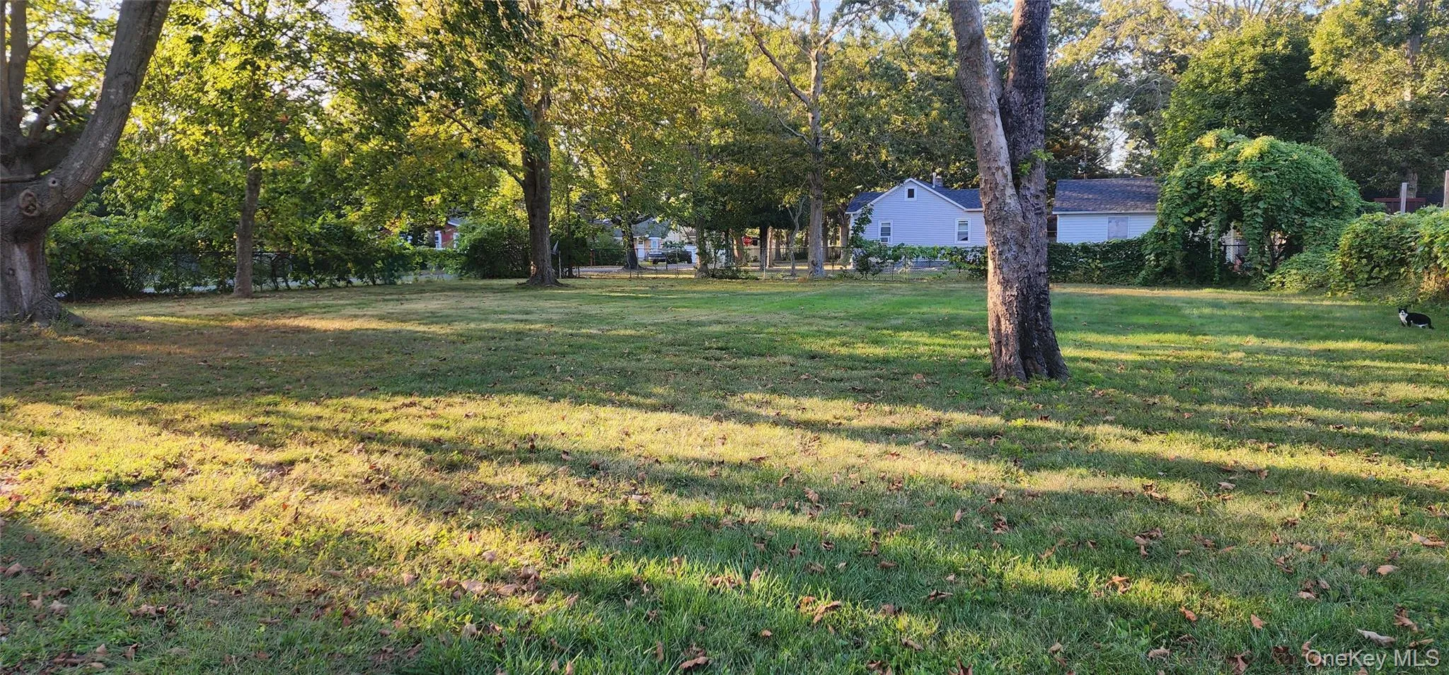View of grassy yard with view of scattered trees View of grassy yard with view of scattered trees