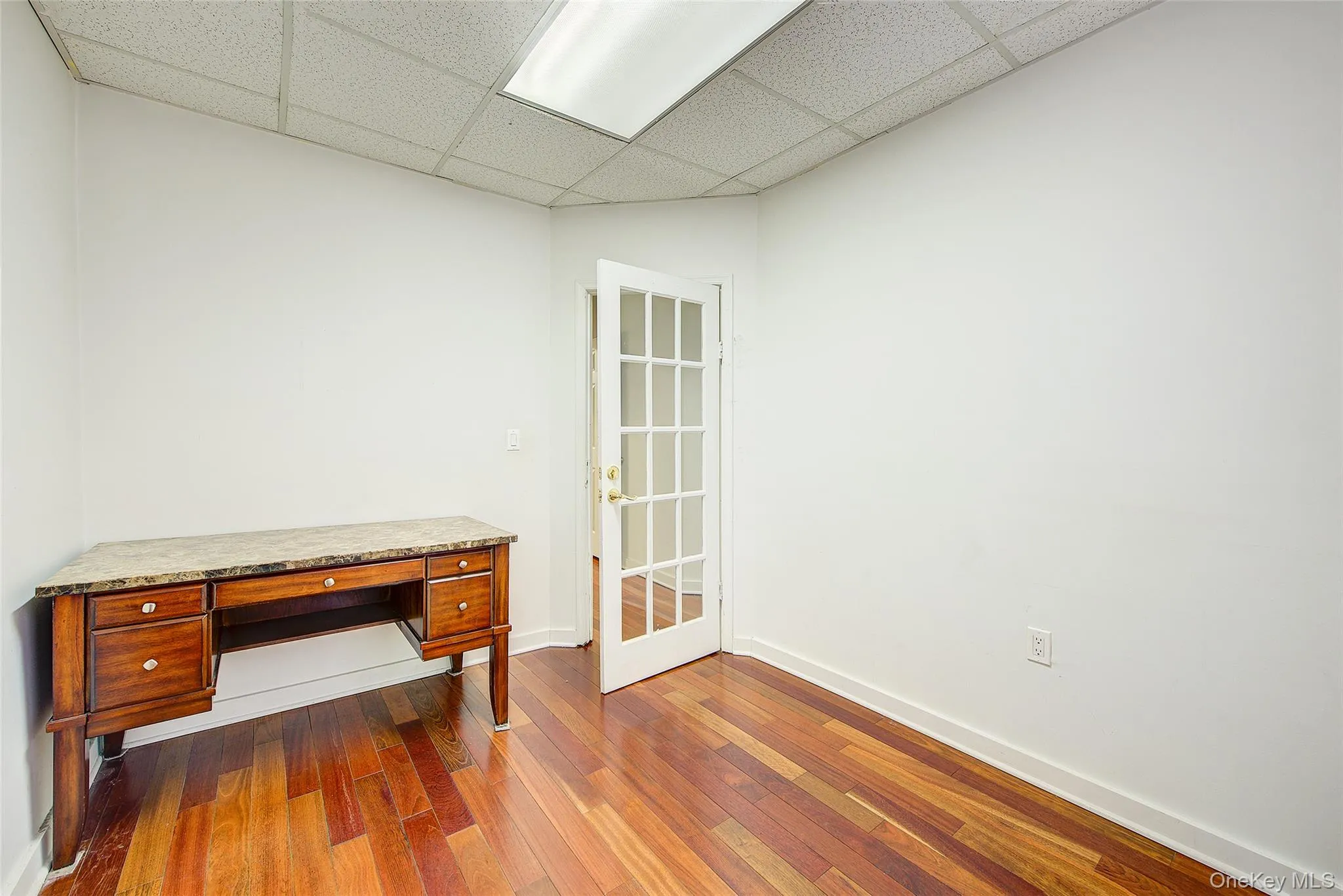 Unfurnished office featuring baseboards, a drop ceiling, and dark wood-style floors Unfurnished office featuring baseboards, a drop ceiling, and dark wood-style floors