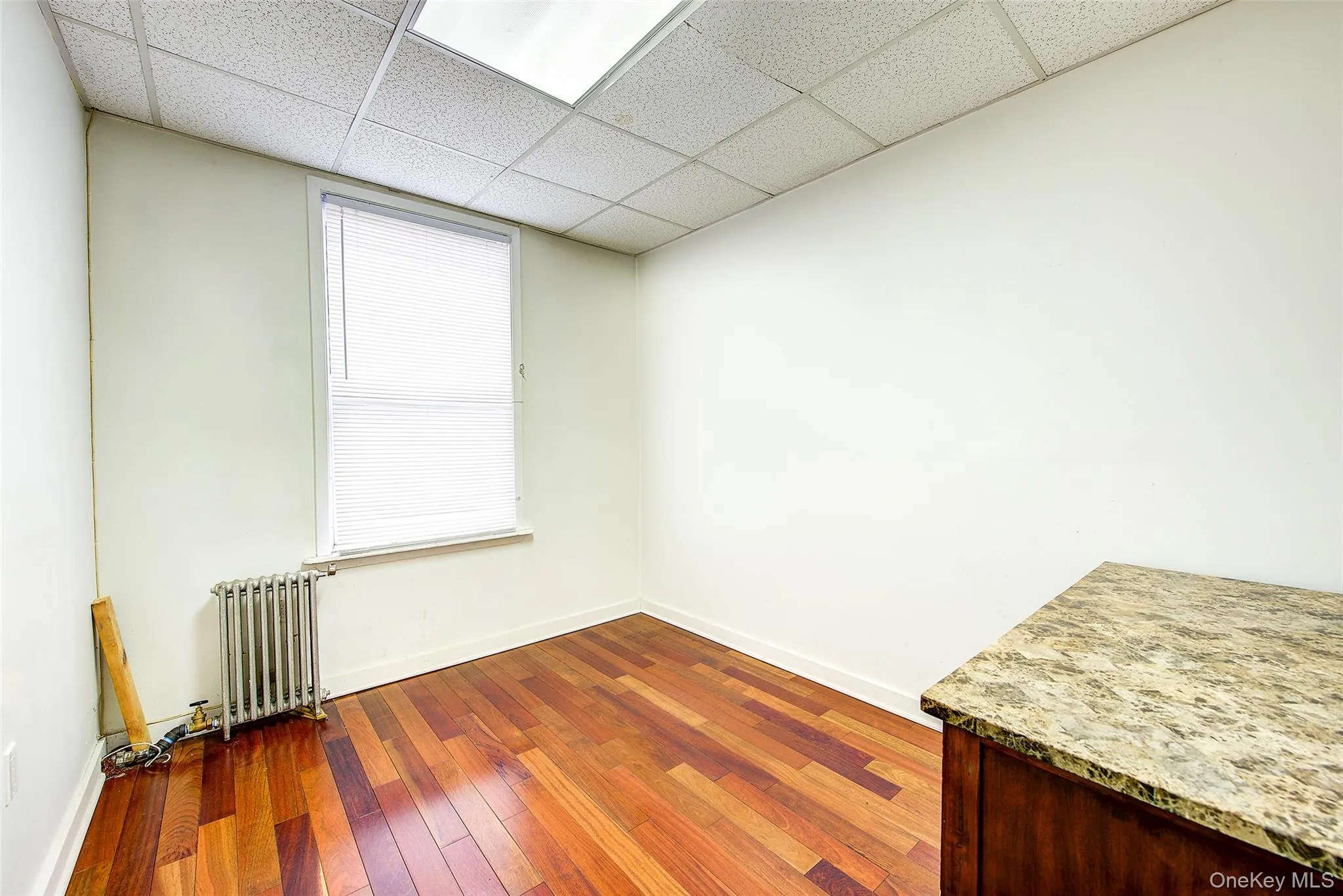 Spare room featuring a paneled ceiling, radiator, baseboards, and dark wood-type flooring Spare room featuring a paneled ceiling, radiator, baseboards, and dark wood-type flooring