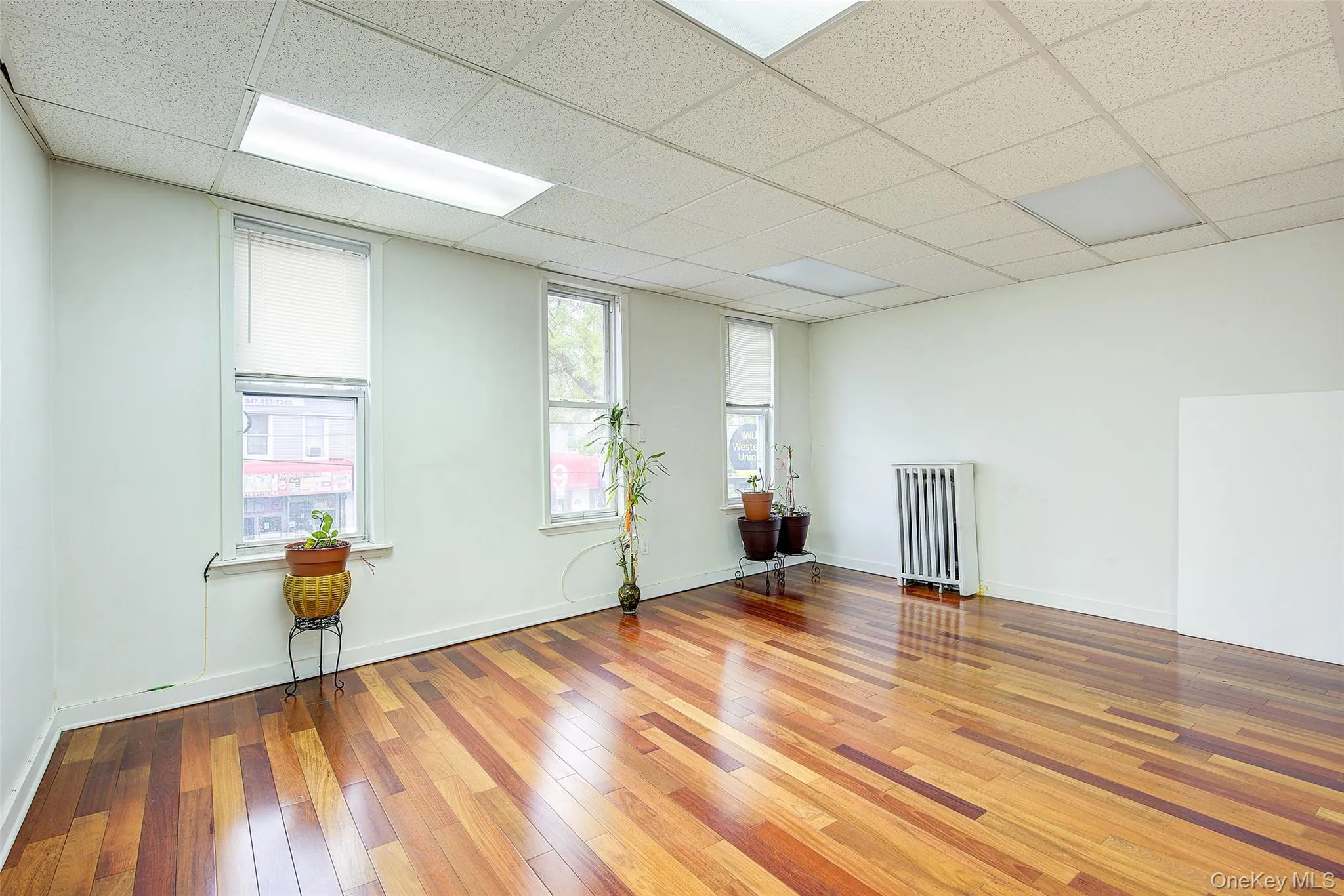 Unfurnished room featuring a paneled ceiling, radiator, and wood-type flooring Unfurnished room featuring a paneled ceiling, radiator, and wood-type flooring