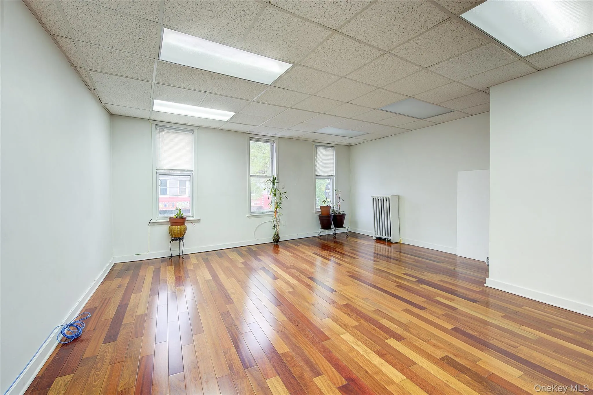 Unfurnished room with a paneled ceiling, hardwood / wood-style flooring, baseboards, and radiator heating unit Unfurnished room with a paneled ceiling, hardwood / wood-style flooring, baseboards, and radiator heating unit