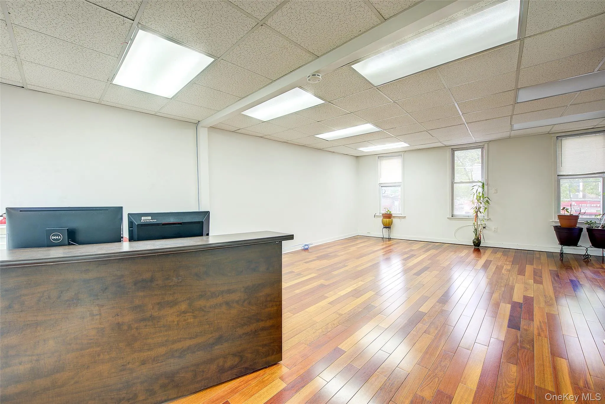 Unfurnished office with a paneled ceiling, hardwood / wood-style floors, and baseboards Unfurnished office with a paneled ceiling, hardwood / wood-style floors, and baseboards