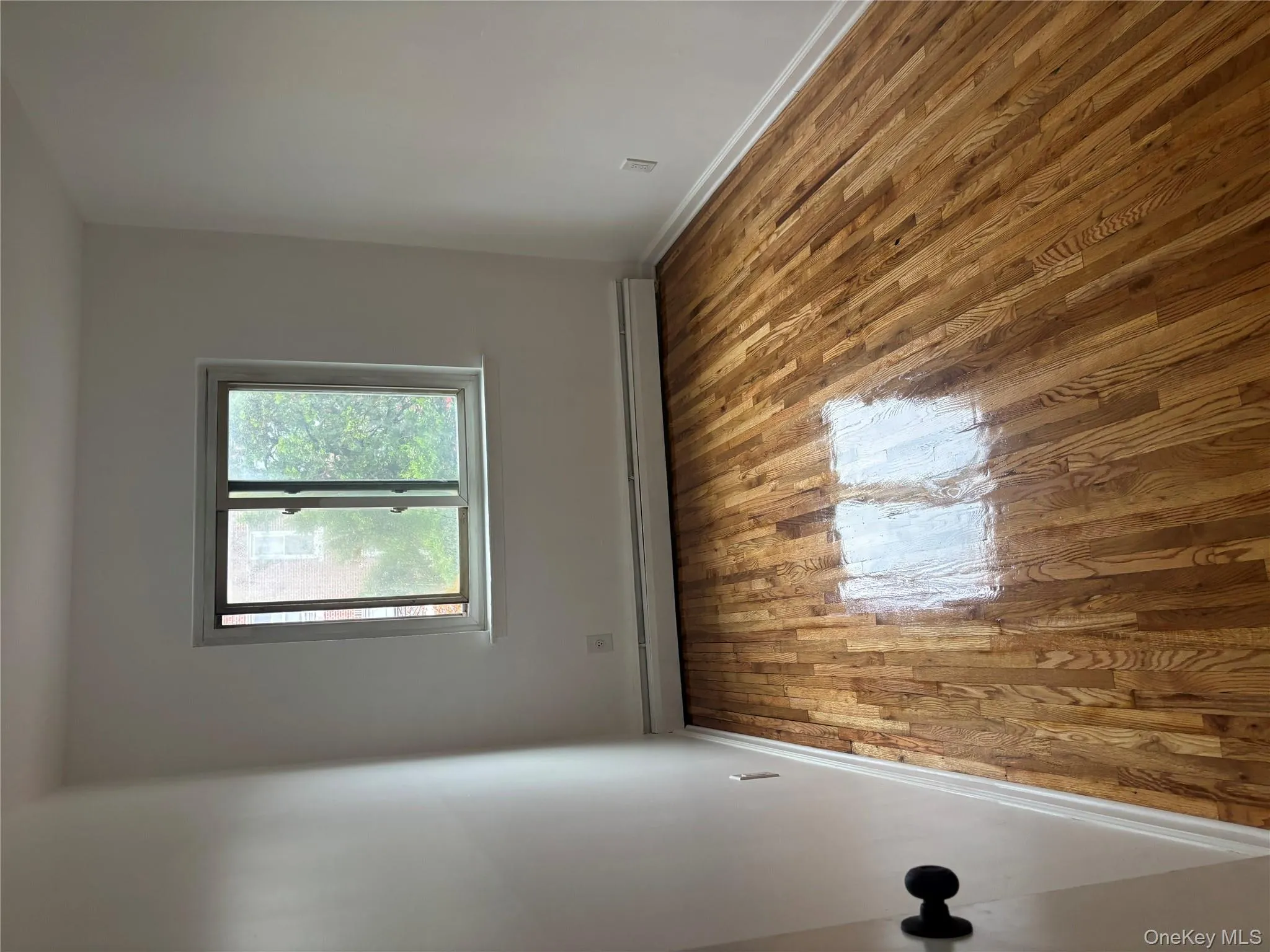 Unfurnished room featuring light wood-style floors and a baseboard heating unit Unfurnished room featuring light wood-style floors and a baseboard heating unit