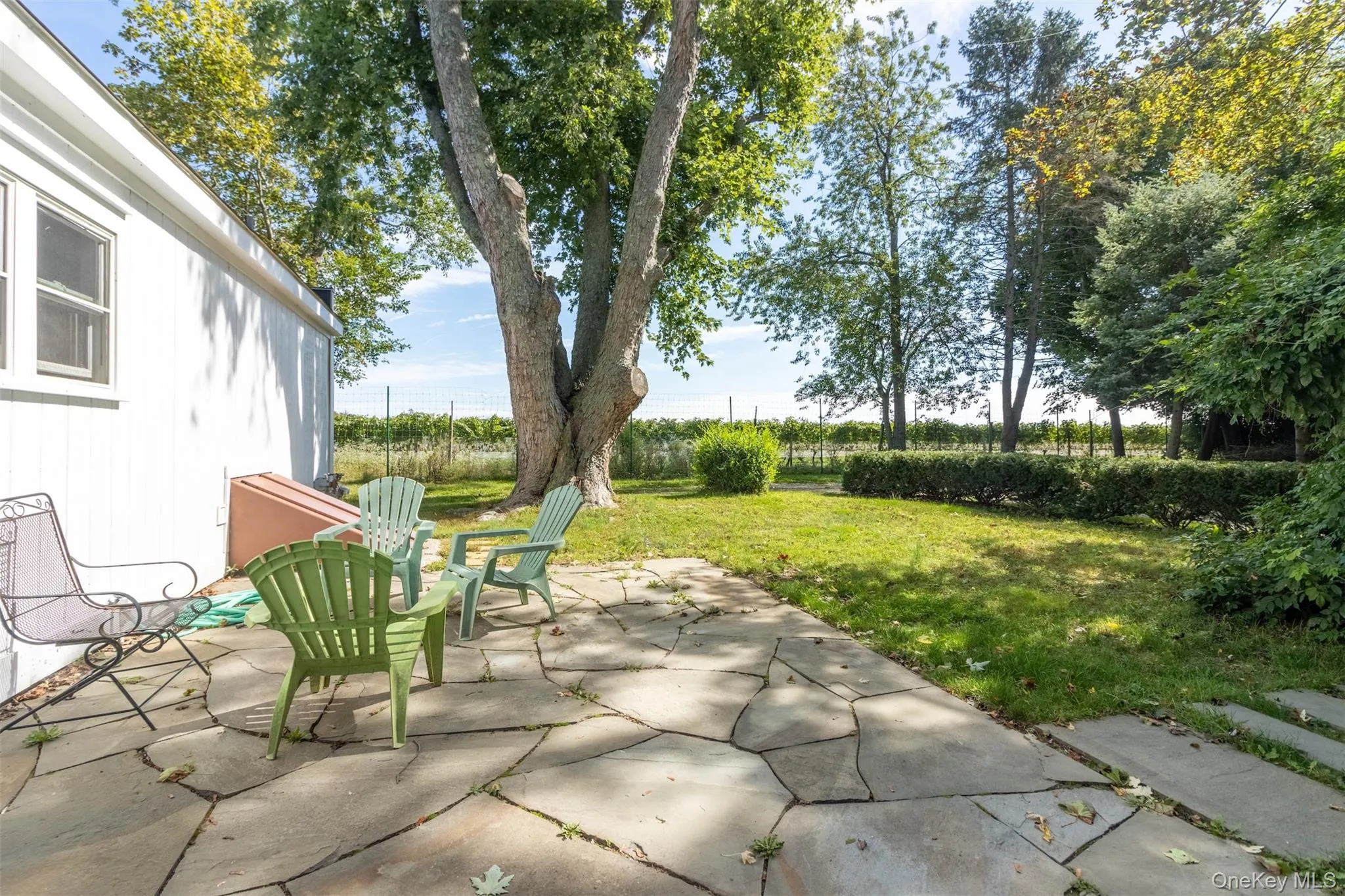 View of patio View of patio