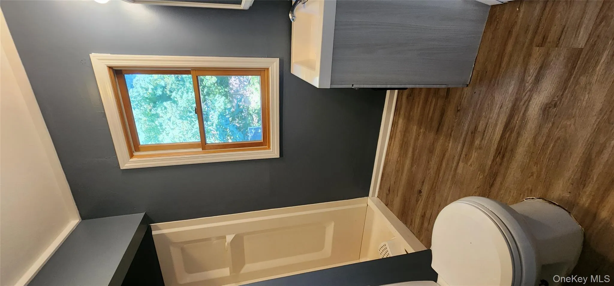 Bathroom with a shower stall, dark wood-style floors, and vanity Bathroom with a shower stall, dark wood-style floors, and vanity