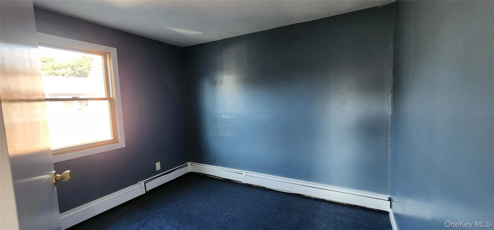 Spare room with carpet floors and baseboard heating Spare room with carpet floors and baseboard heating