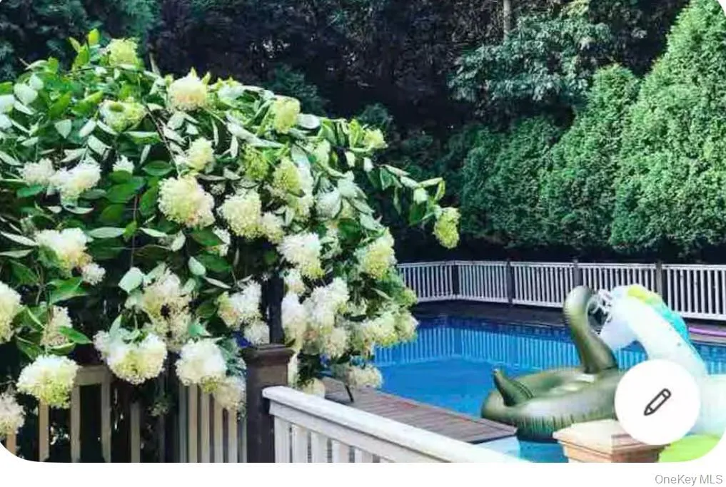 View of swimming pool View of swimming pool