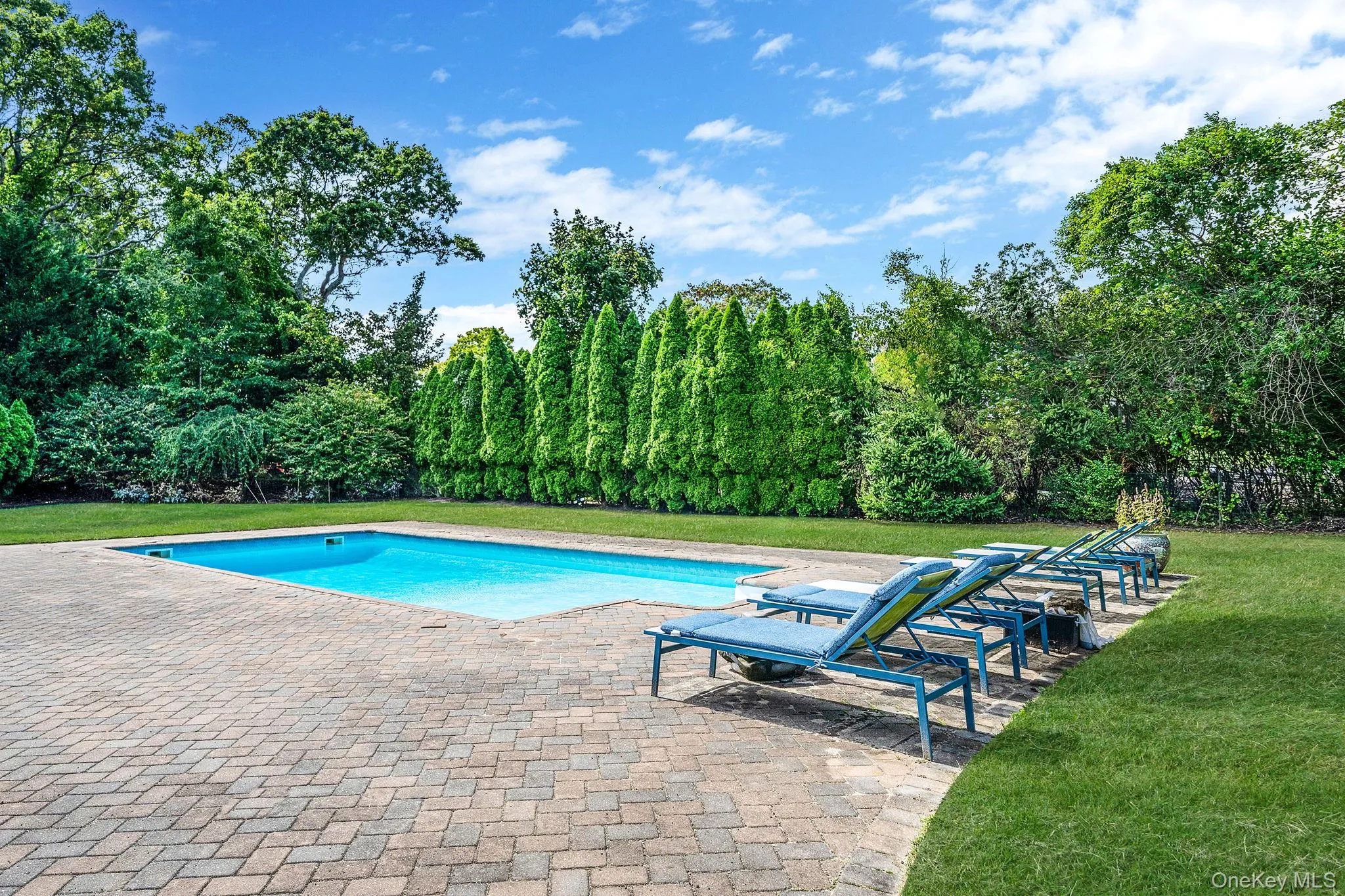 Swimming pool with a lawn and a patio Swimming pool with a lawn and a patio
