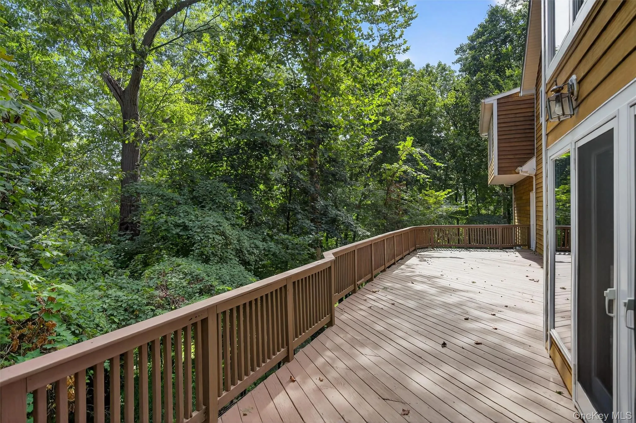 Wooden terrace featuring view of scattered trees Wooden terrace featuring view of scattered trees
