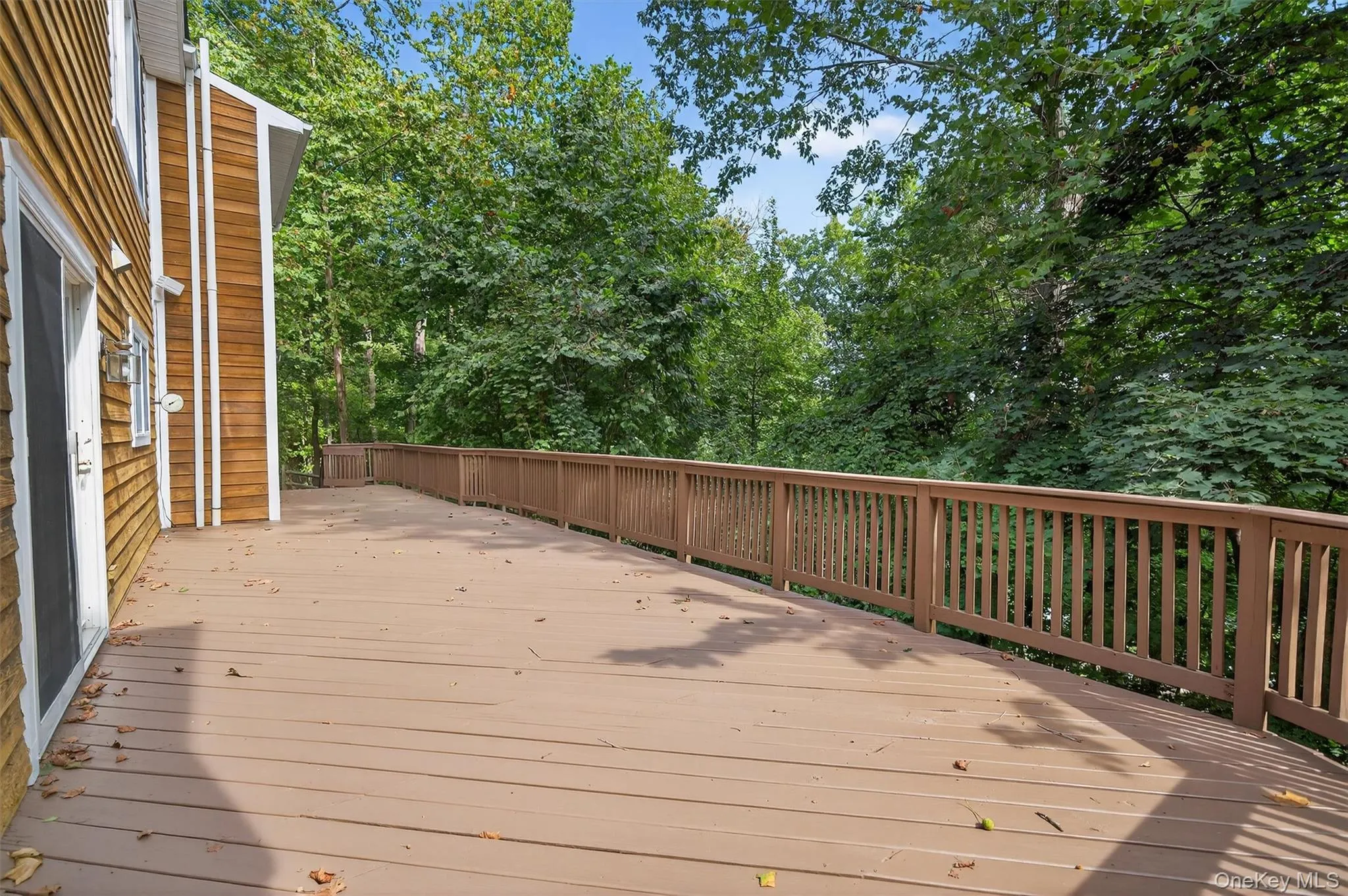 Wooden deck with view of scattered trees Wooden deck with view of scattered trees