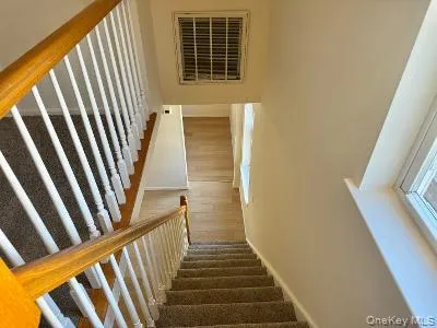 Stairway with baseboards and carpet leading to loft Stairway with baseboards and carpet leading to loft