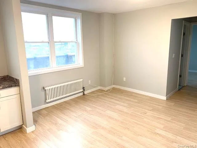 Unfurnished room with radiator and light wood-type flooring Unfurnished room with radiator and light wood-type flooring