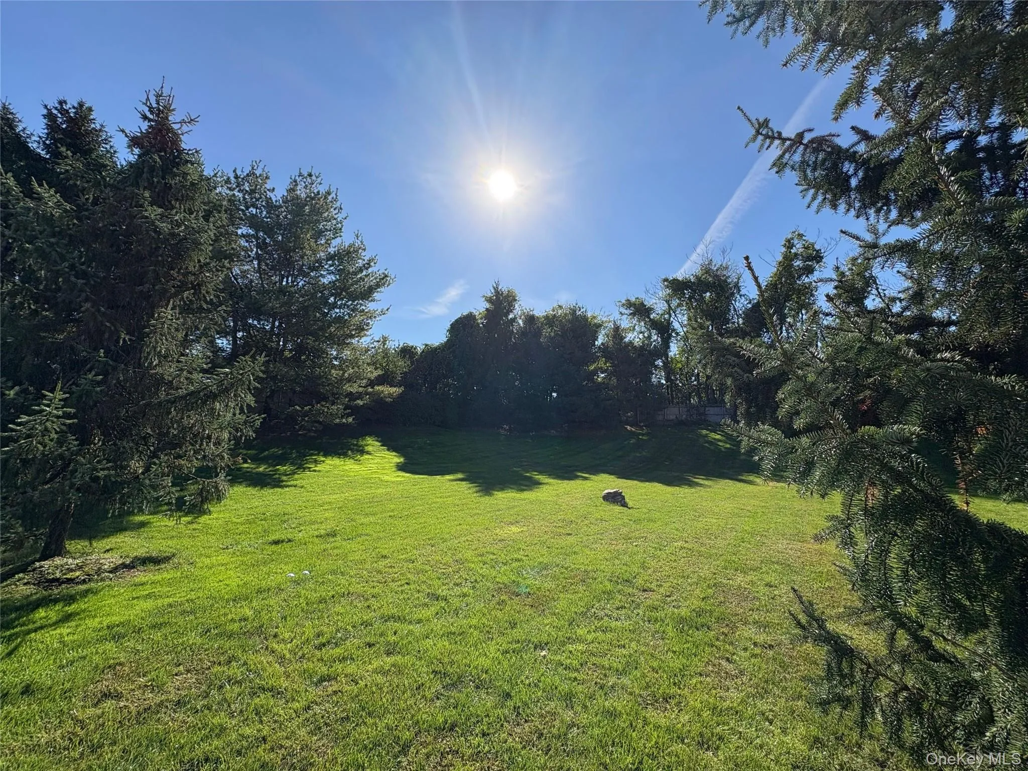 View of green lawn View of green lawn