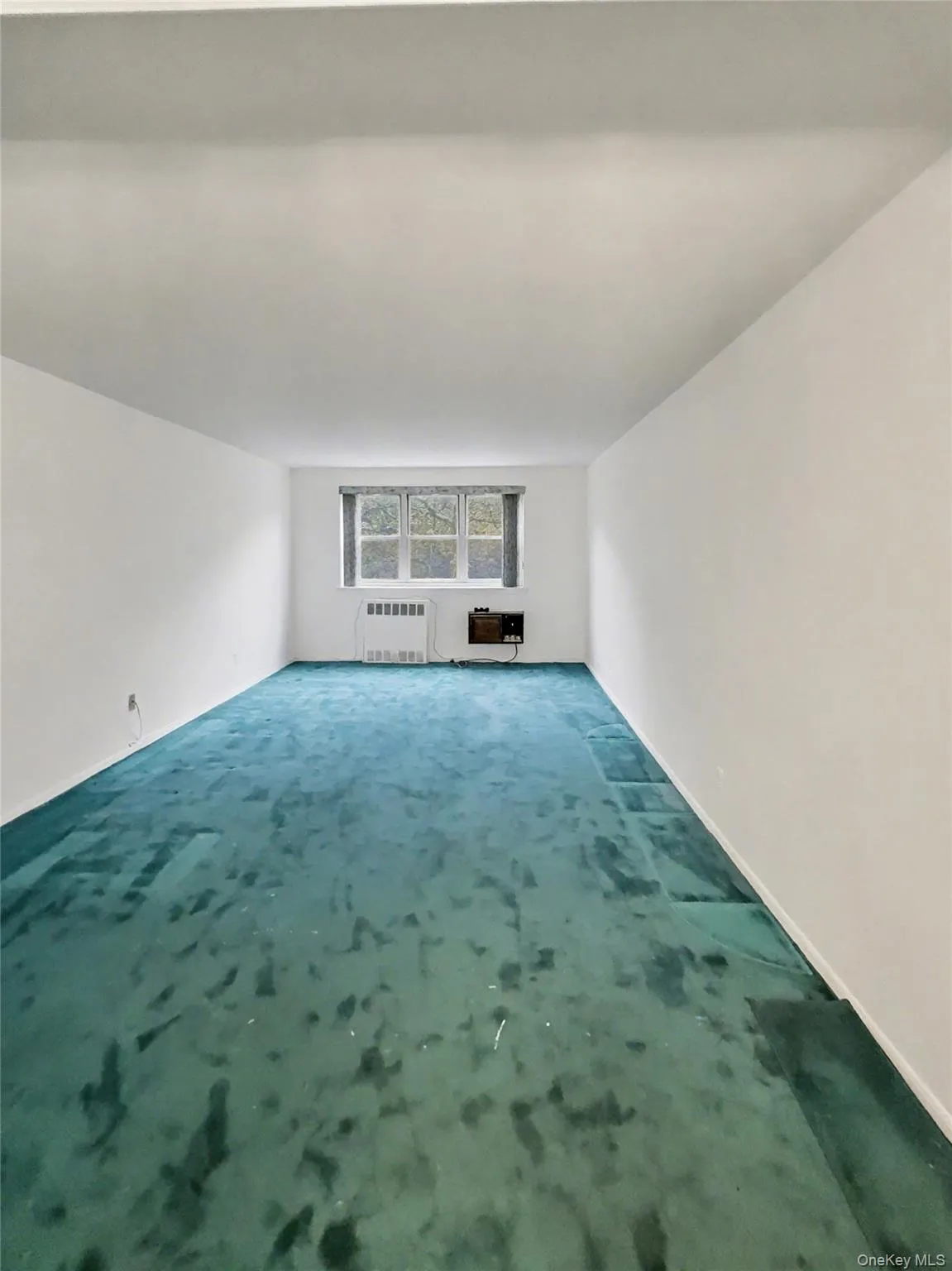 88-08 151 Ave, New York, NY, 2 Bedrooms Bedrooms, 5 Rooms Rooms,1 BathroomBathrooms,Residential Sale,For Rent,151 Ave,0,924156 88-08 151 Ave, New York, NY, 2 Bedrooms Bedrooms, 5 Rooms Rooms,1 BathroomBathrooms,Residential Sale,For Rent,151 Ave,0,924156