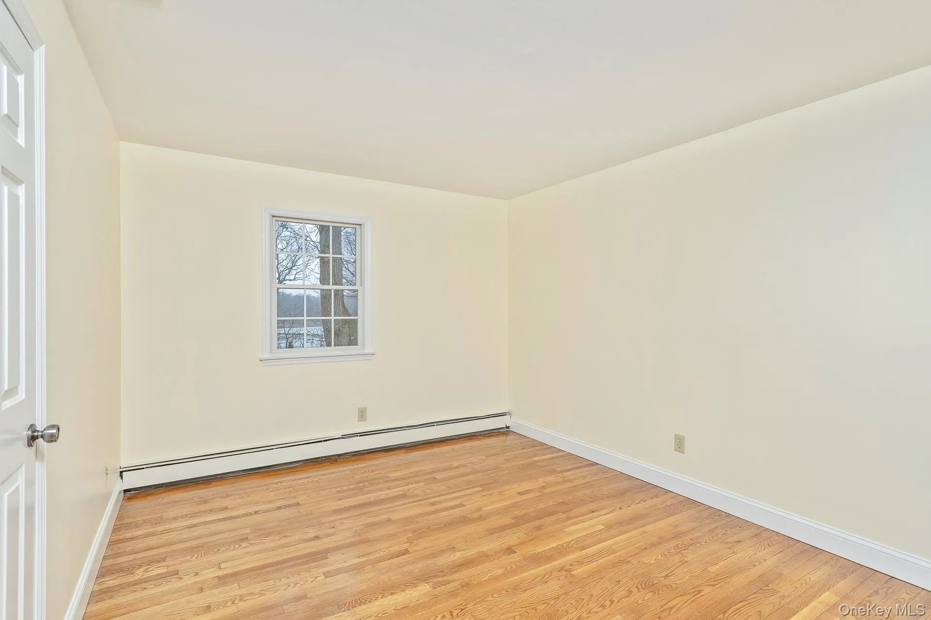 Nicely Sized Nicely Sized