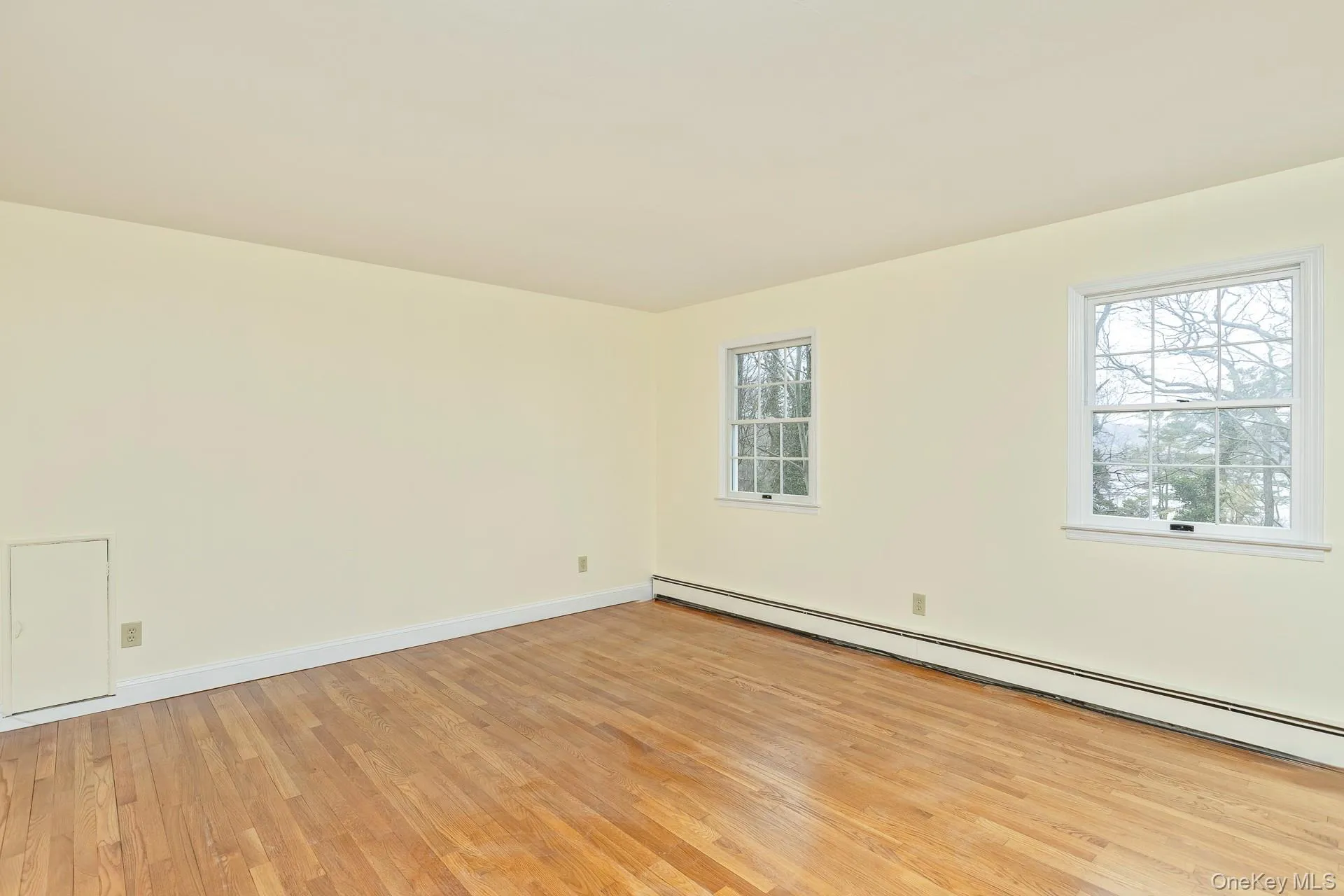 Nicely Sized Nicely Sized