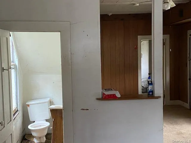 Bathroom featuring wooden walls, vanity, and carpet flooring Bathroom featuring wooden walls, vanity, and carpet flooring