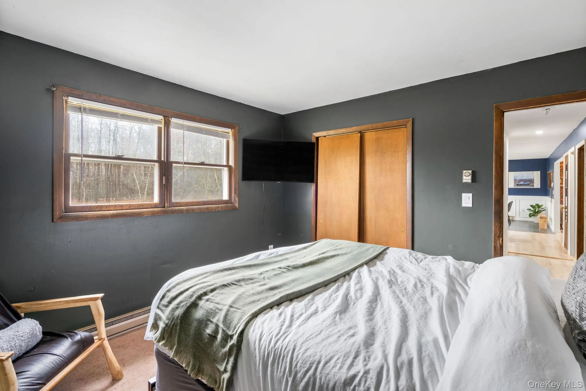 Carpeted bedroom with a closet Carpeted bedroom with a closet
