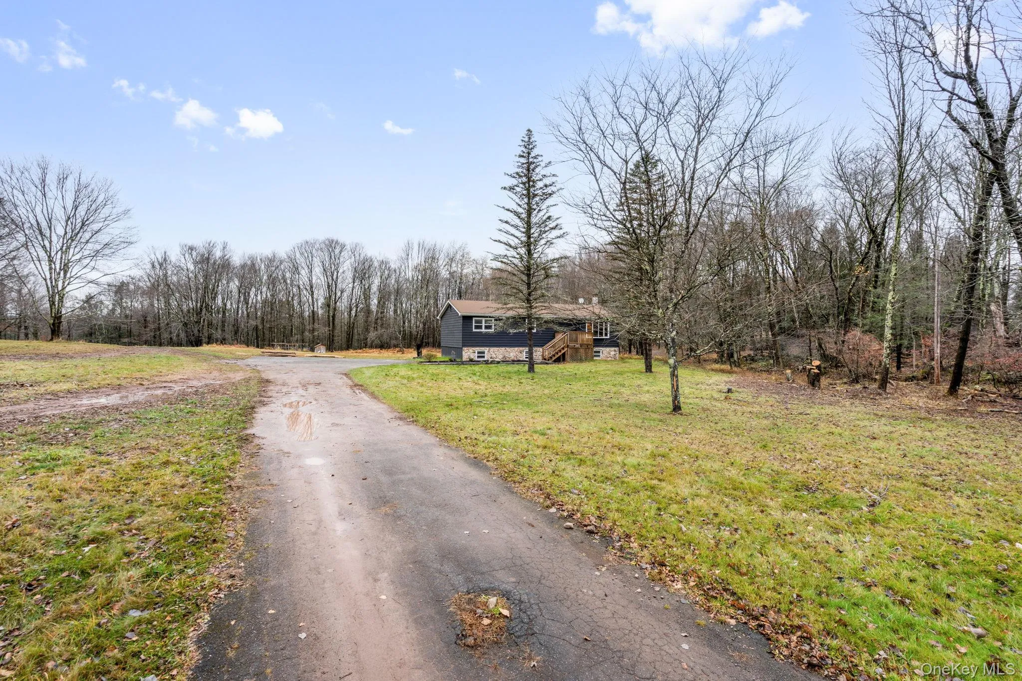 View of asphalt driveway with a forest view View of asphalt driveway with a forest view