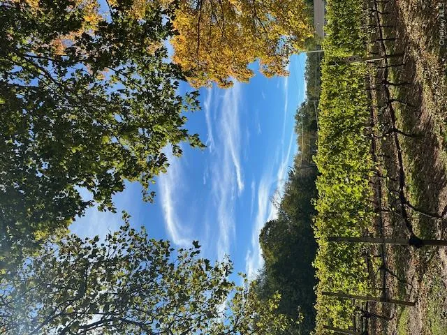 535 Bay Home Road, Southold, NY, 3 Bedrooms Bedrooms, 7 Rooms Rooms,4 BathroomsBathrooms,Residential,For Rent,Bay Home,0,924424 535 Bay Home Road, Southold, NY, 3 Bedrooms Bedrooms, 7 Rooms Rooms,4 BathroomsBathrooms,Residential,For Rent,Bay Home,0,924424