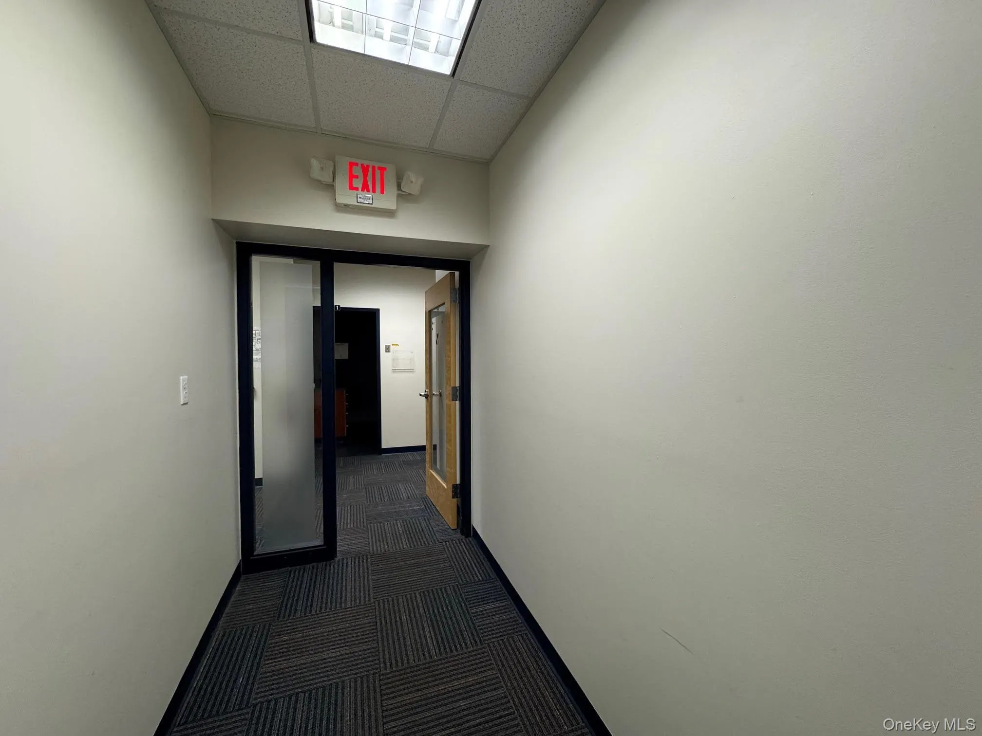 Hall featuring a drop ceiling and dark colored carpet Hall featuring a drop ceiling and dark colored carpet