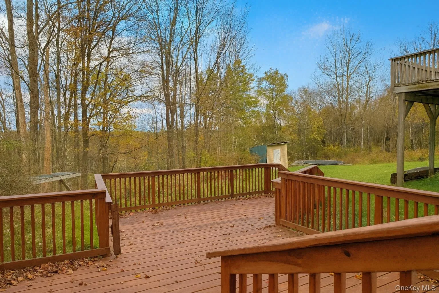 Deck with a lawn and a shed Deck with a lawn and a shed