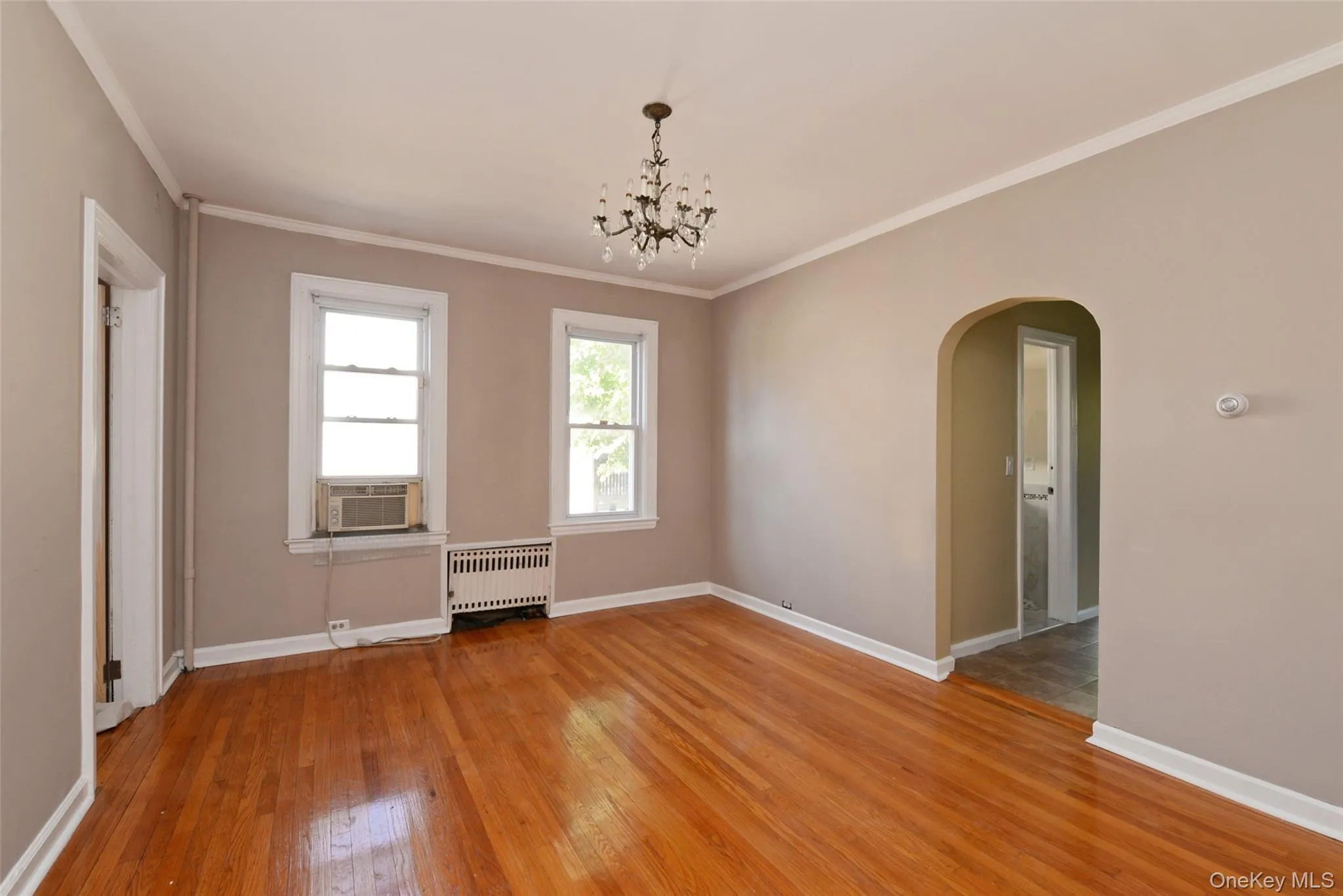 Large Size Large Size