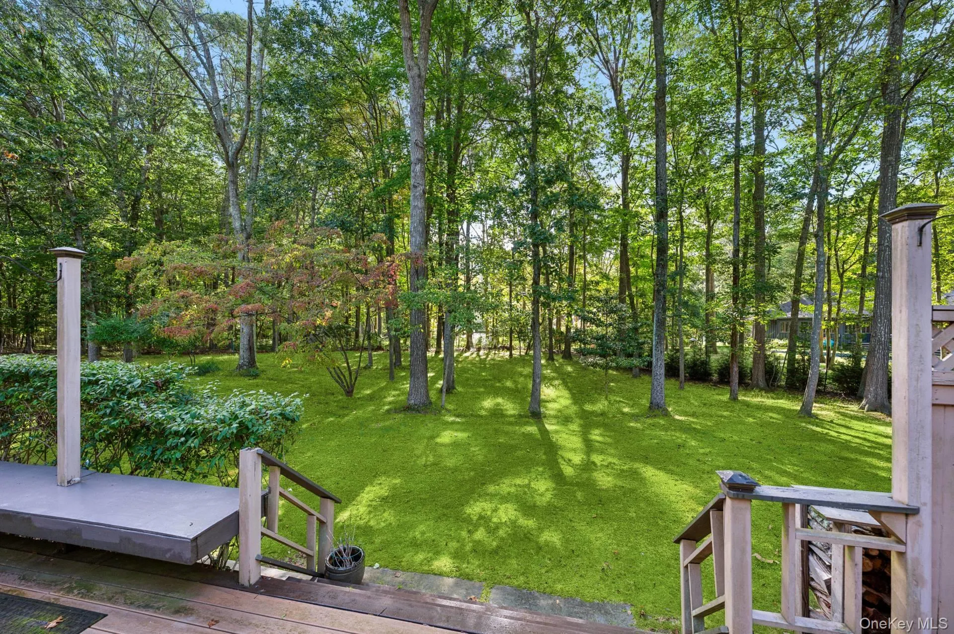 View of grassy yard View of grassy yard