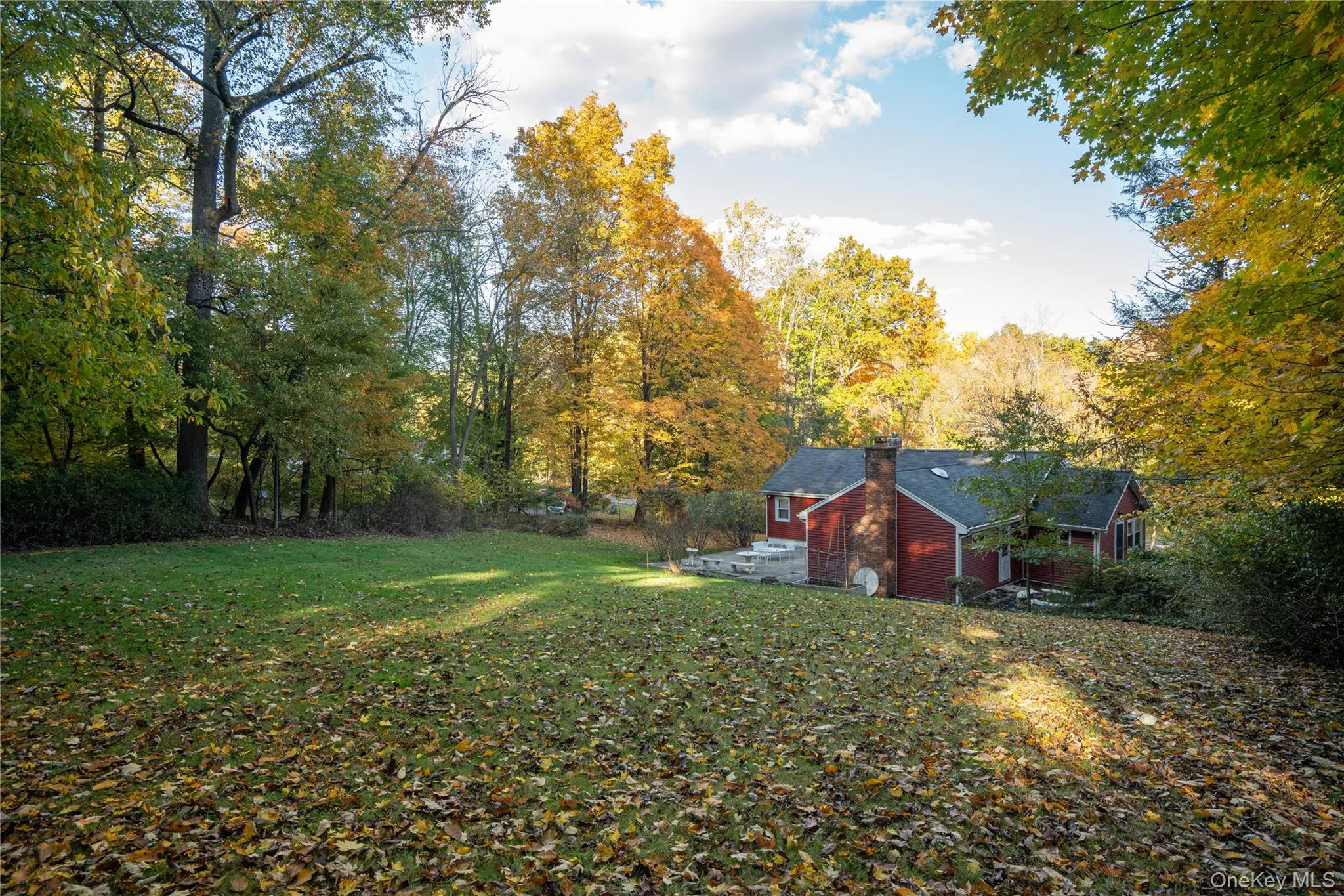 View of grassy yard featuring a wooded view View of grassy yard featuring a wooded view