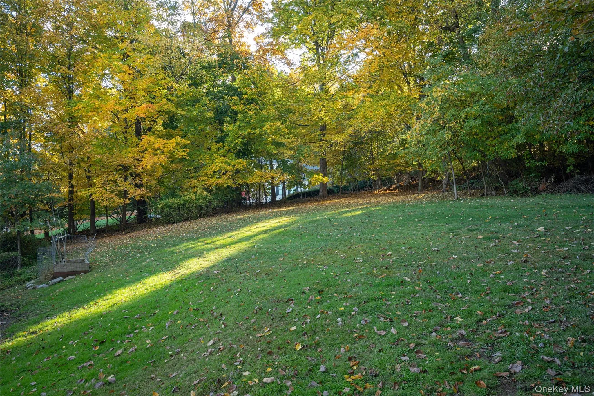 View of grassy yard View of grassy yard