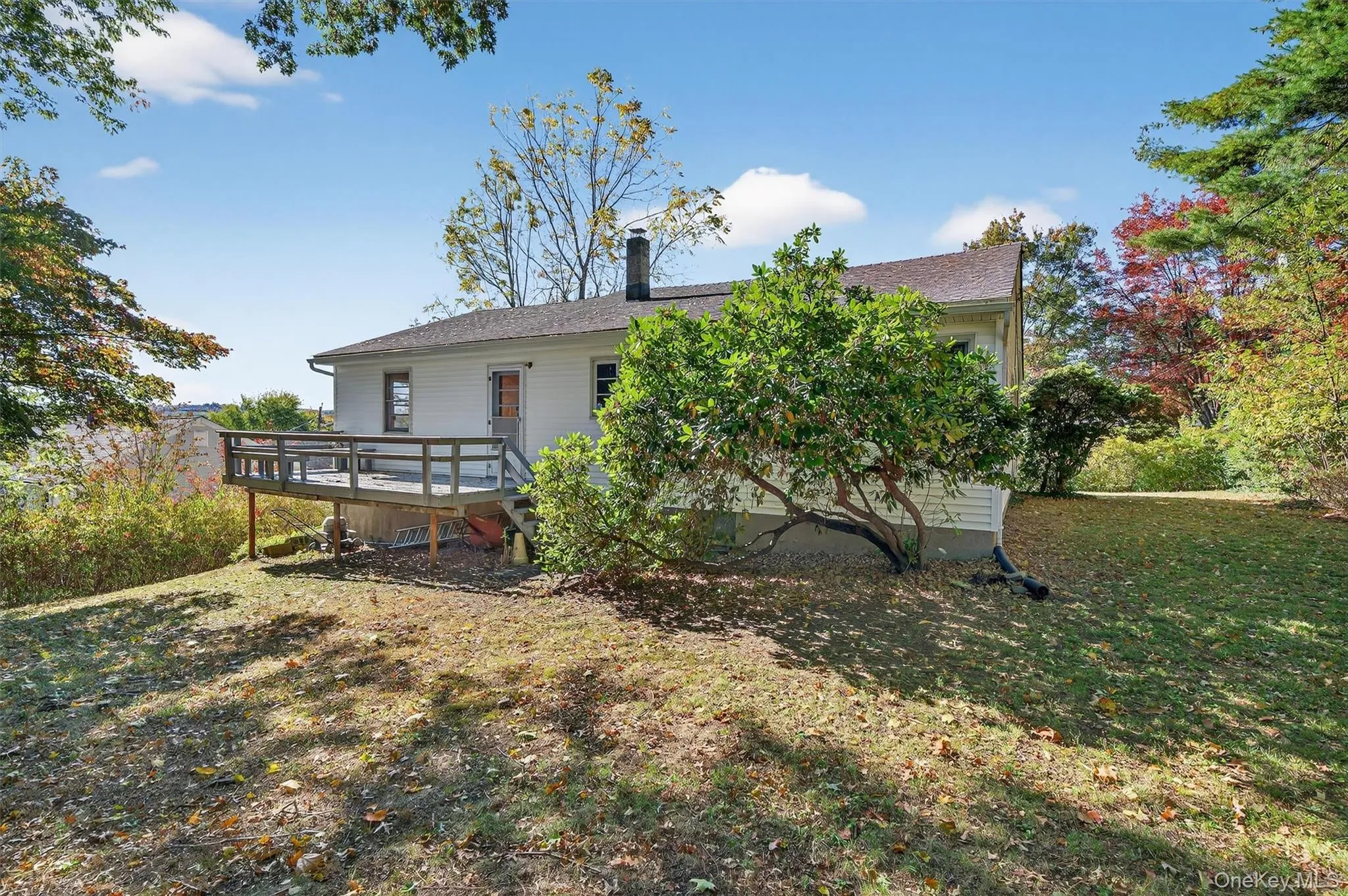 Back of property featuring a deck, a yard, and a shingled roof Back of property featuring a deck, a yard, and a shingled roof